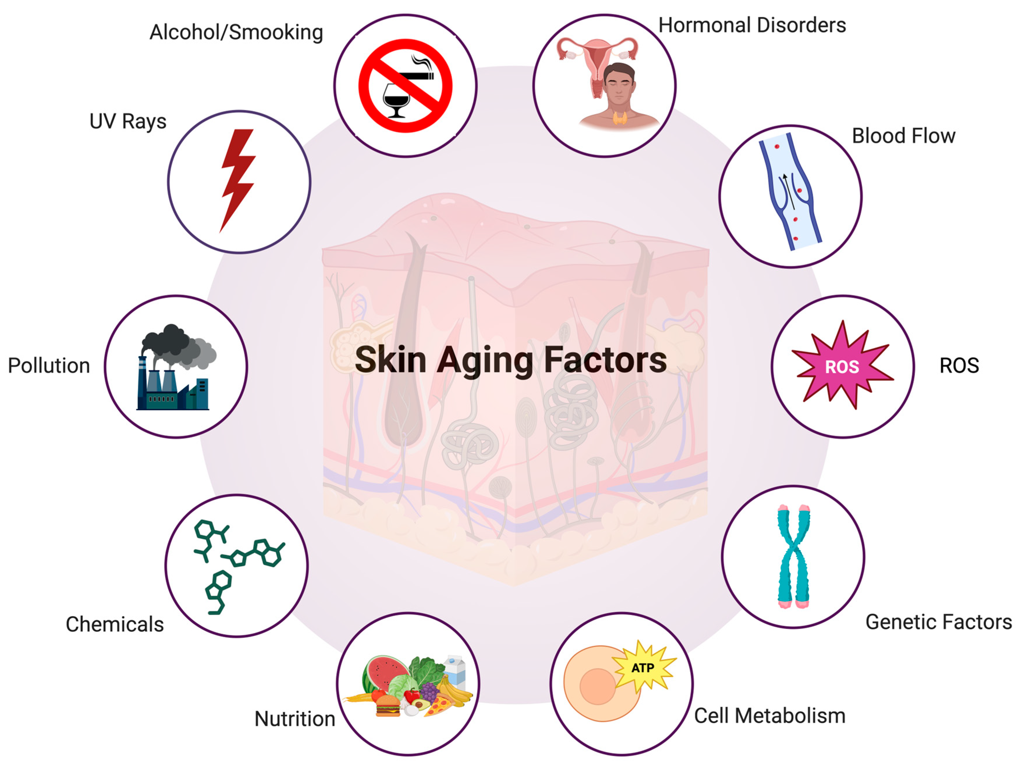 Cosmetics 11 00197 g001