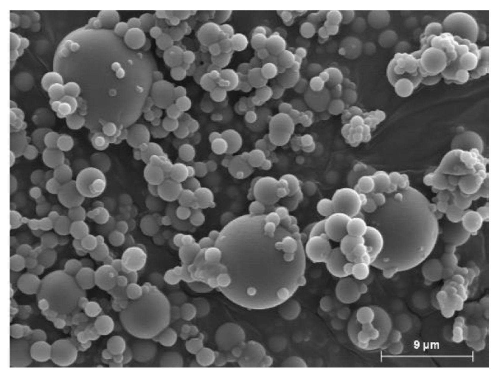 Cosmetics 11 00198 g002