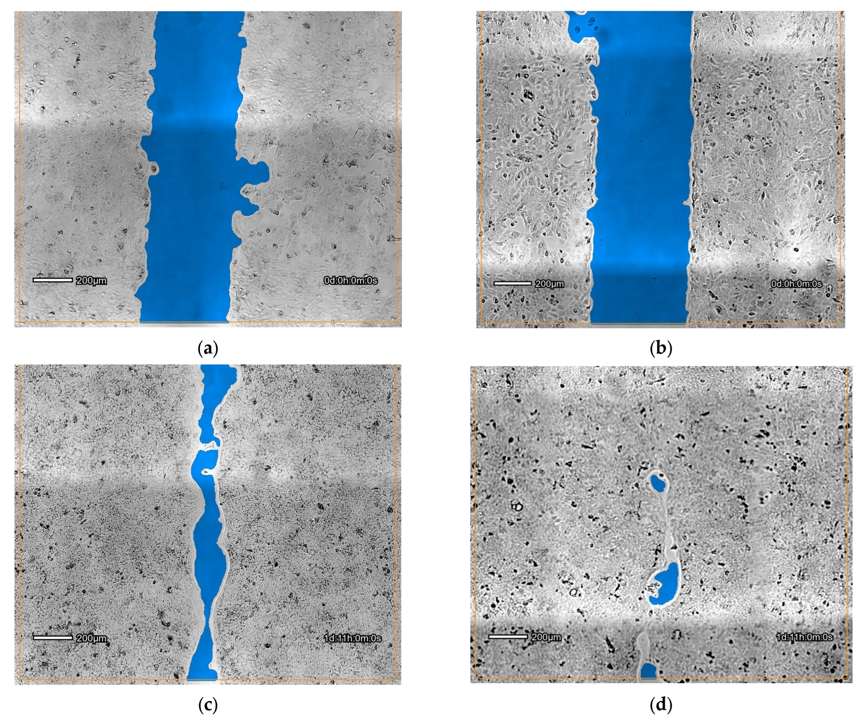 Cosmetics 11 00200 g004