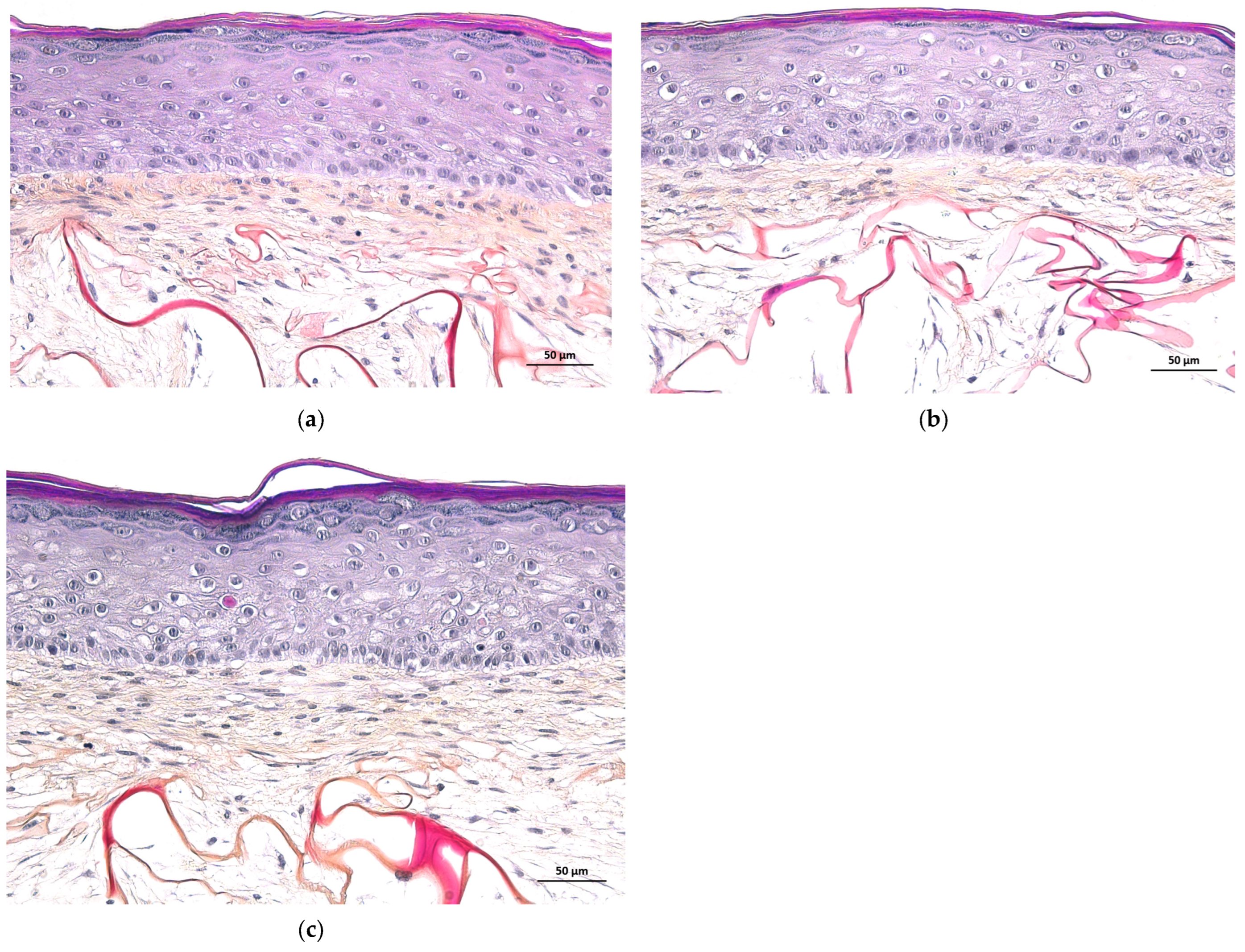 Cosmetics 11 00200 g009