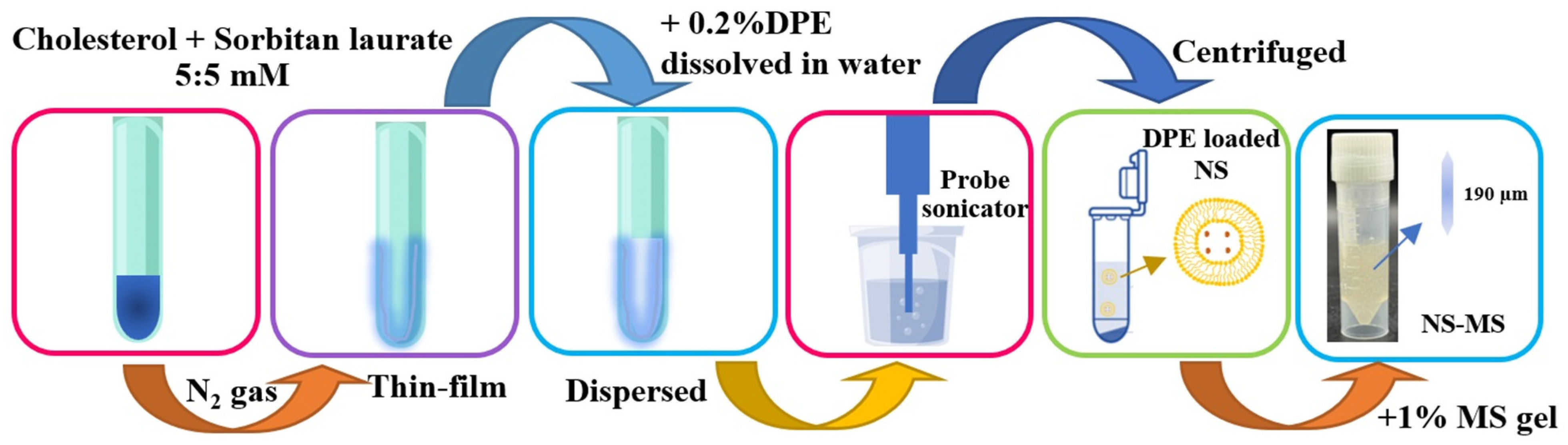 Cosmetics 11 00204 g001
