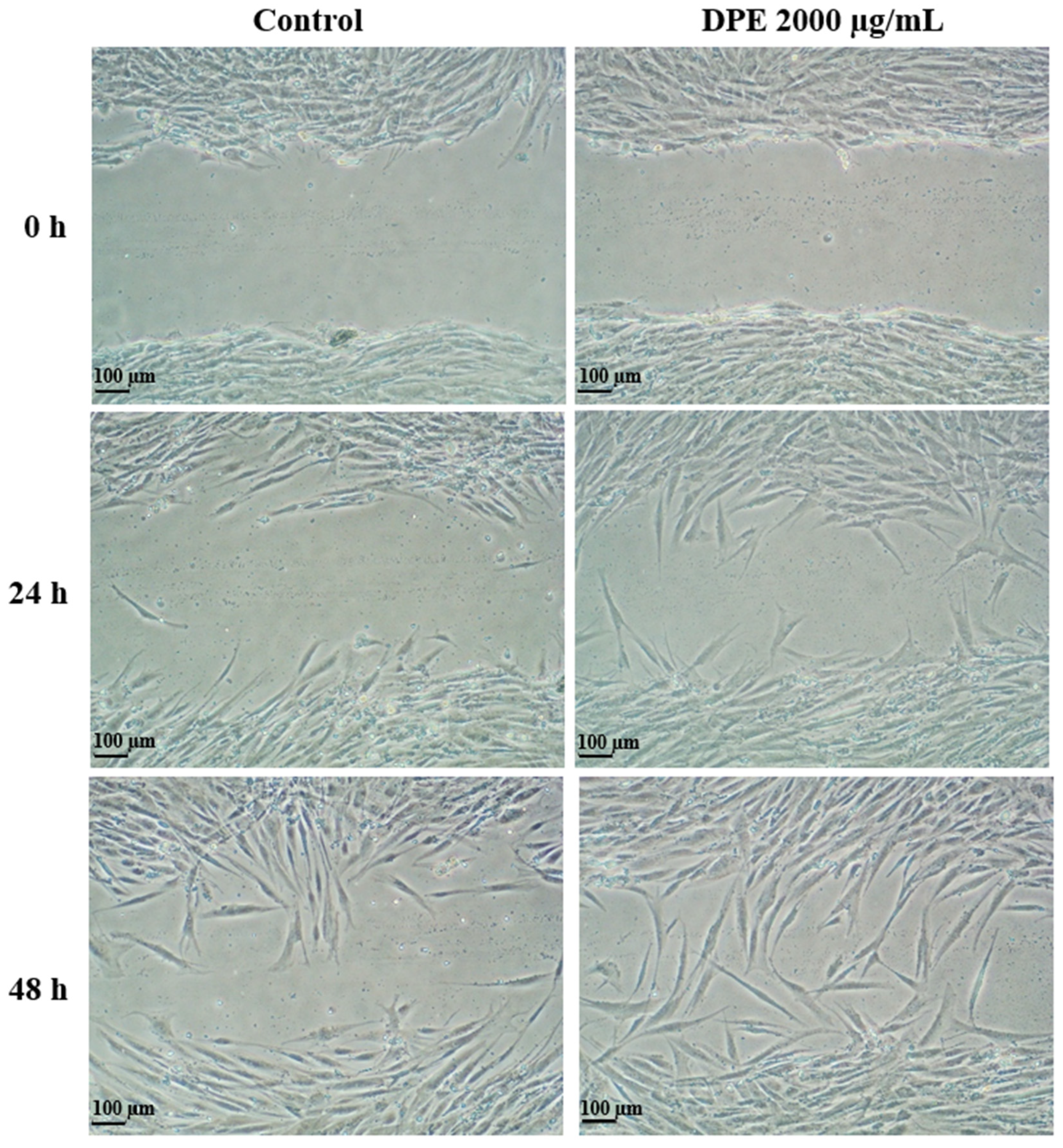 Cosmetics 11 00204 g003