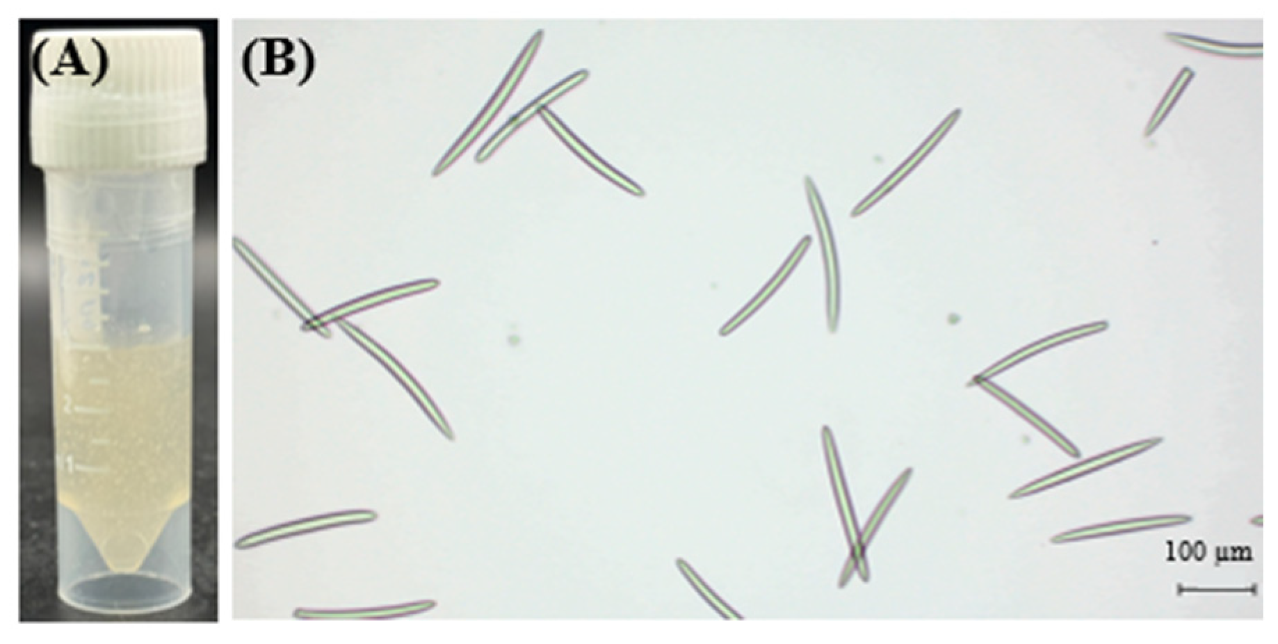 Cosmetics 11 00204 g005