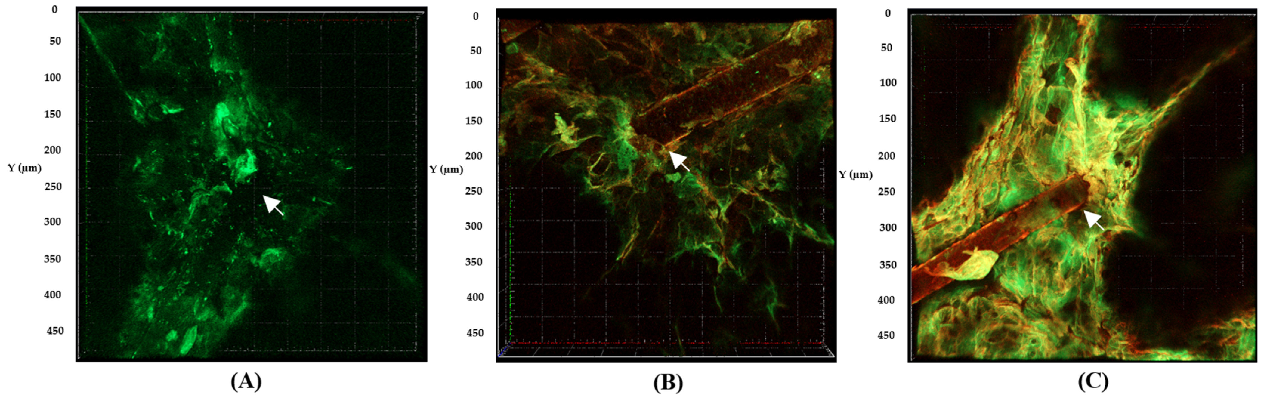 Cosmetics 11 00204 g006