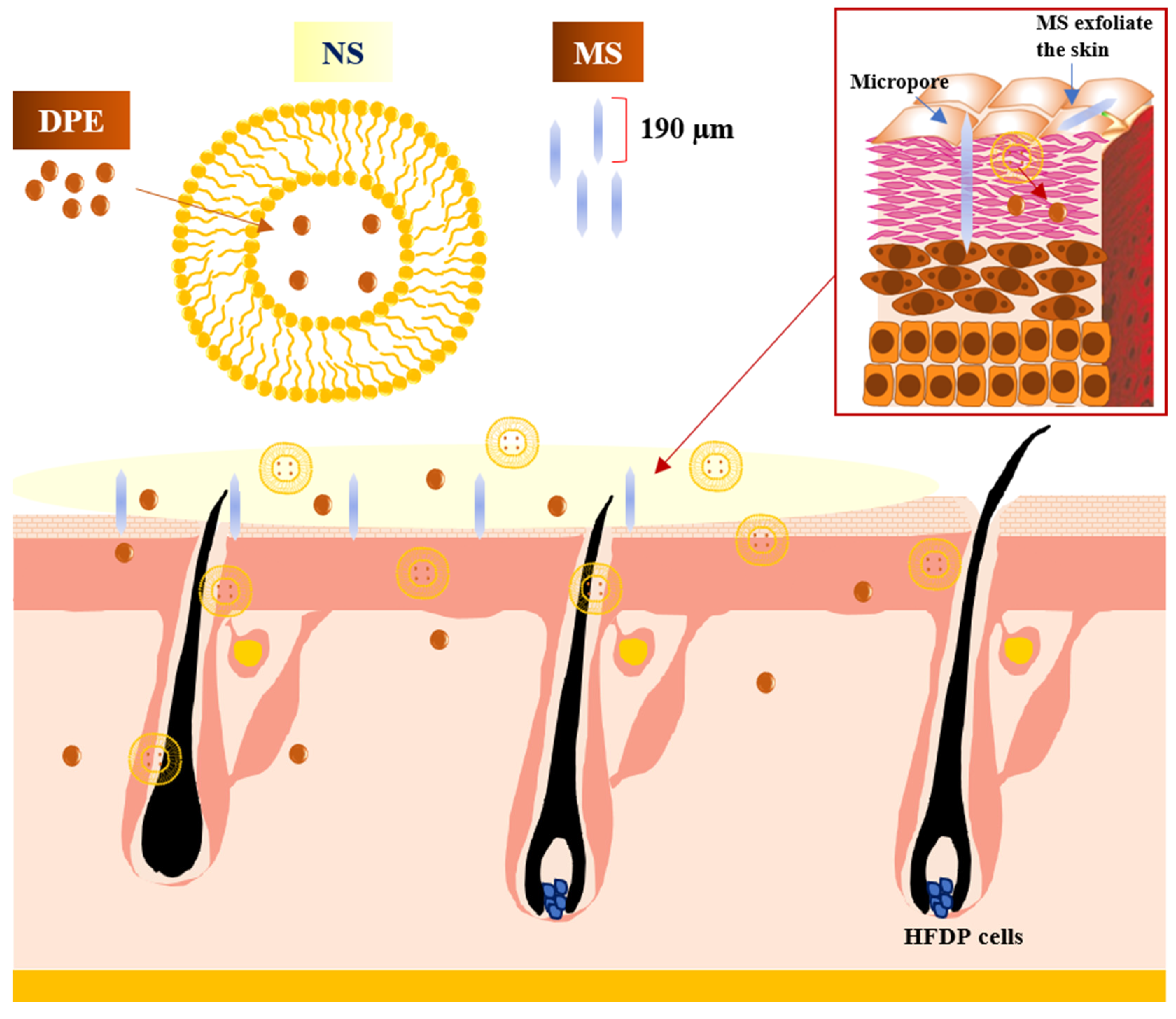 Cosmetics 11 00204 g008