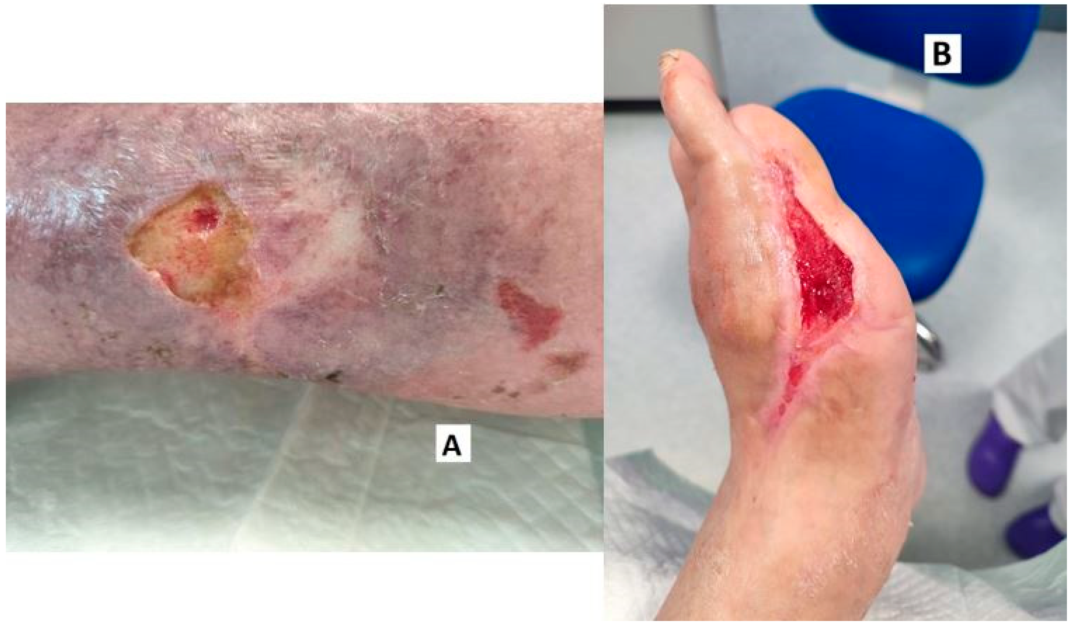 Cosmetics 11 00209 g001