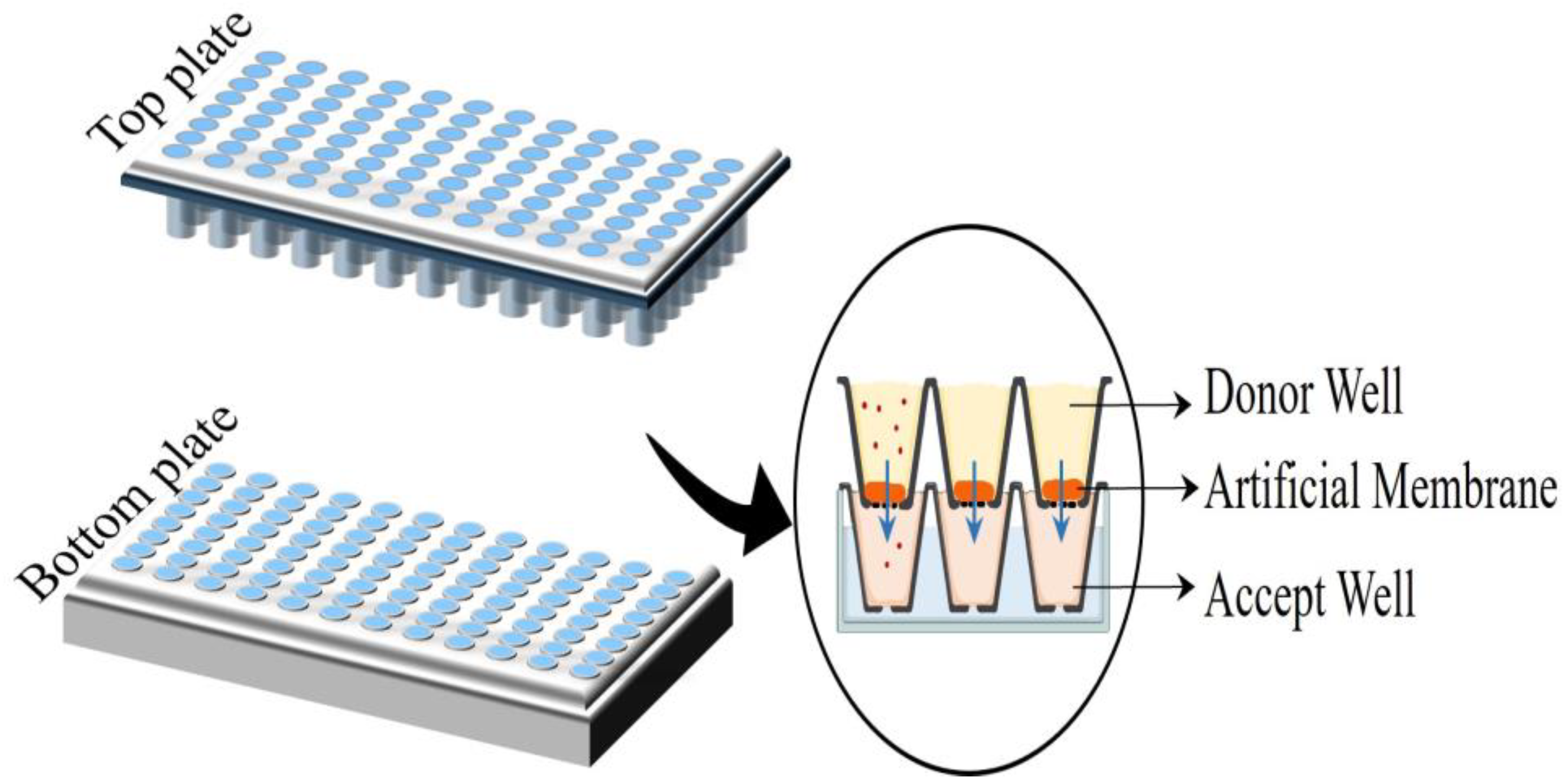 Cosmetics 11 00217 g003