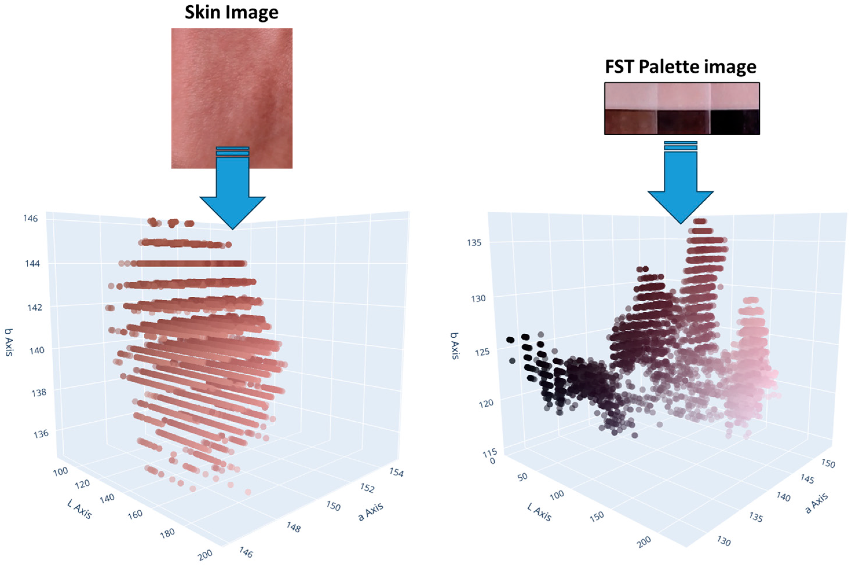 AI Dermatochroma Analytica (AIDA): Smart Technology for Robust 