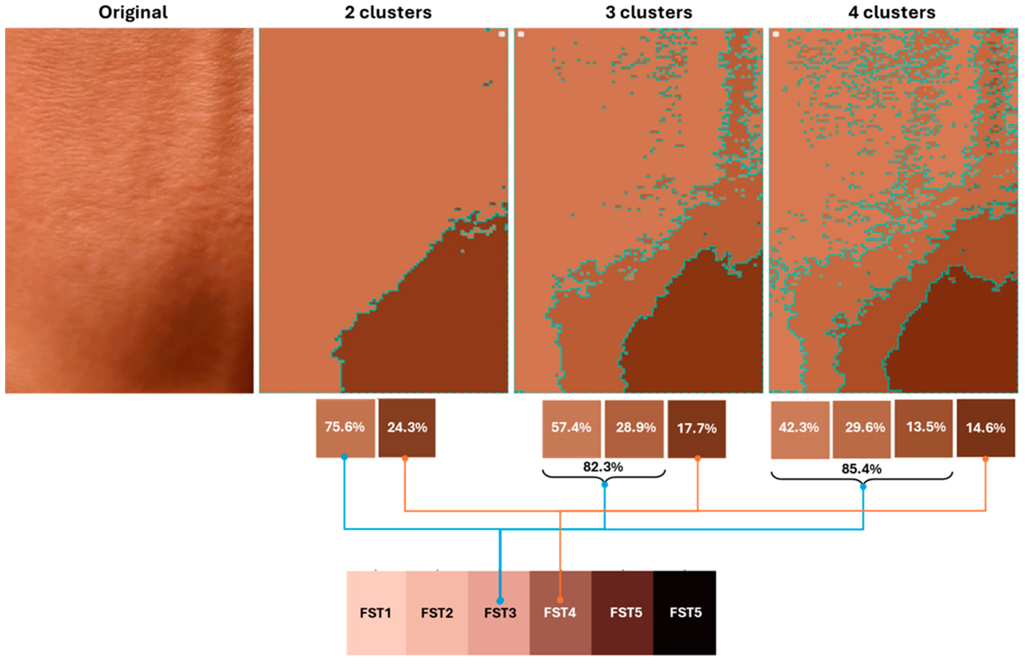 Cosmetics 11 00218 g009