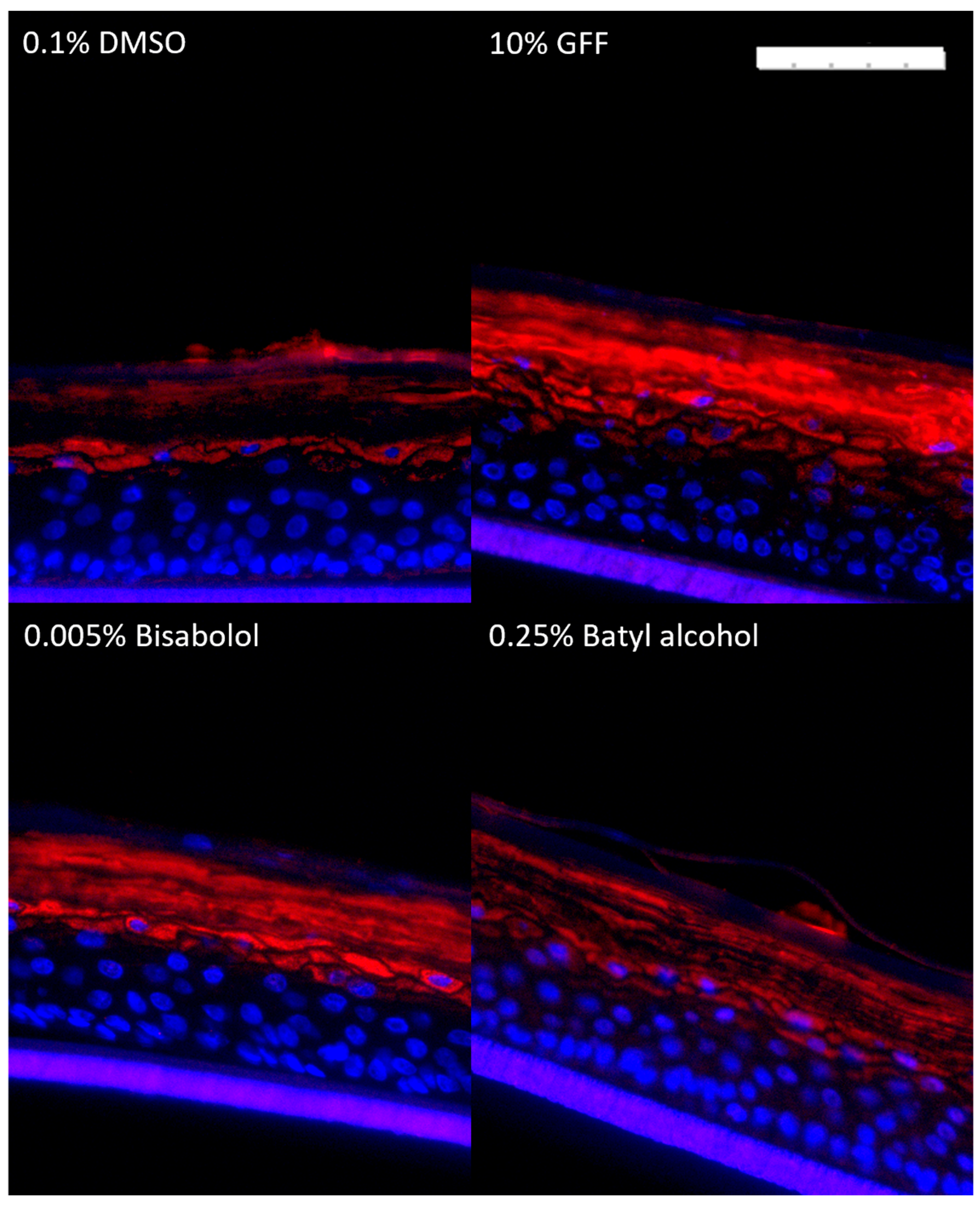 Cosmetics 11 00219 g011 Cosmetics 11 00219 g011