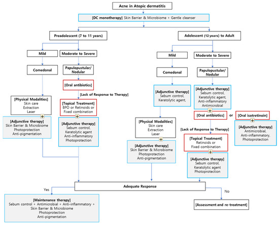 Addressing the Unmet Need in Acne Management: A Novel Dermocosmetics ...