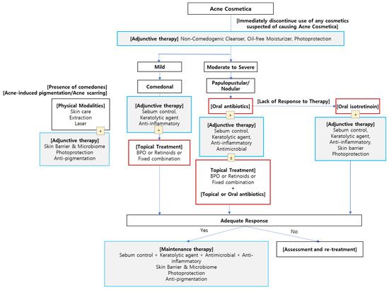 Addressing the Unmet Need in Acne Management: A Novel Dermocosmetics ...
