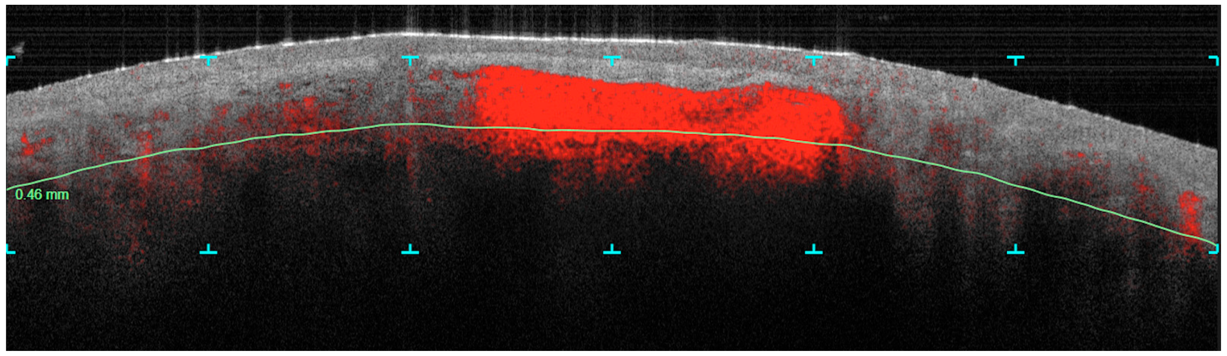 Cosmetics 11 00221 g001