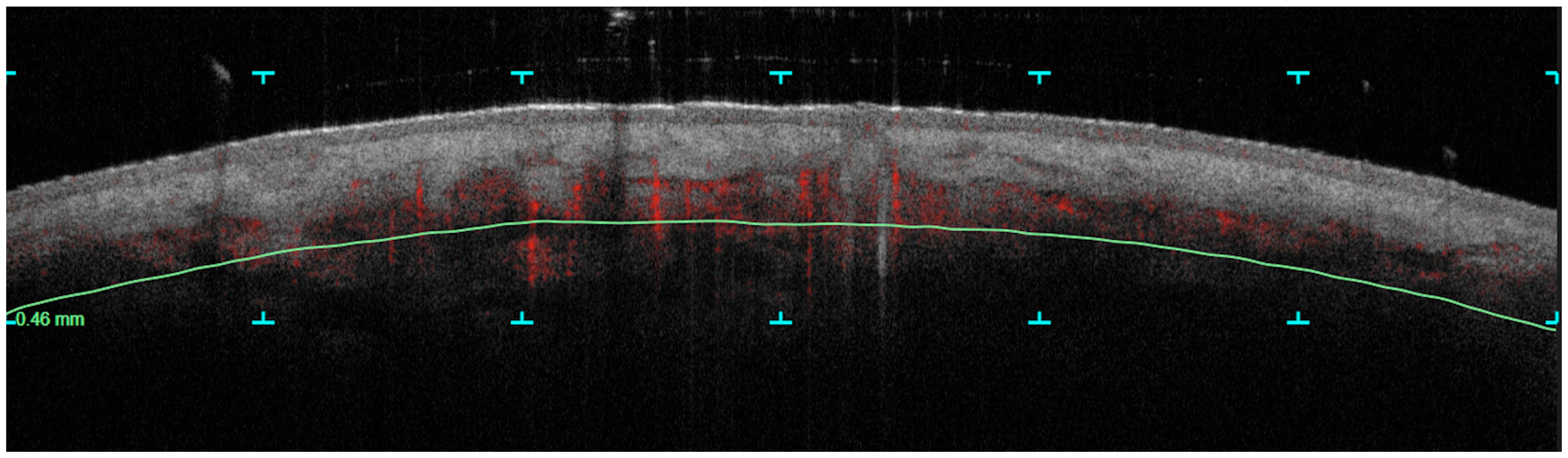 Cosmetics 11 00221 g002