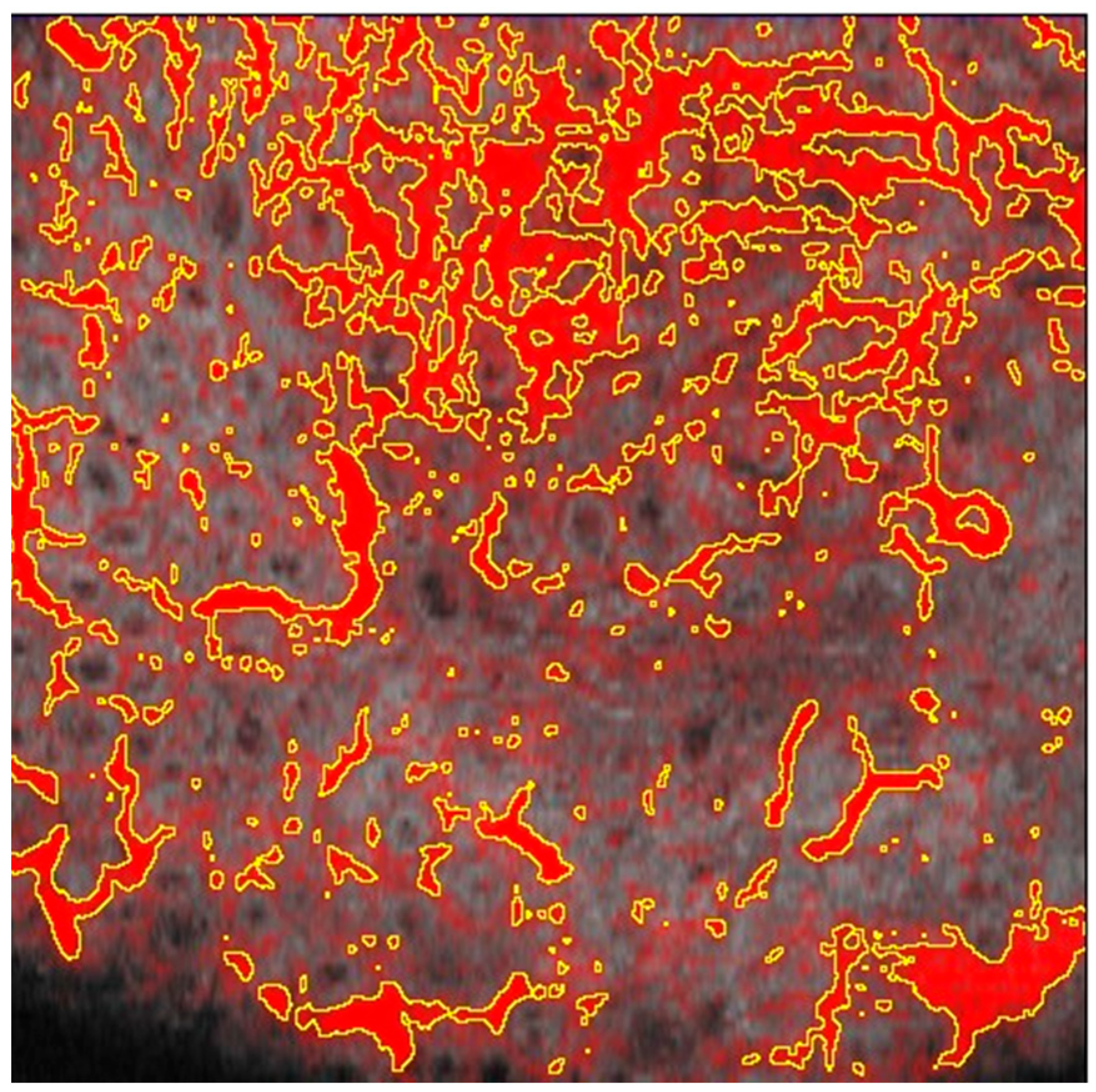 Cosmetics 11 00221 g003