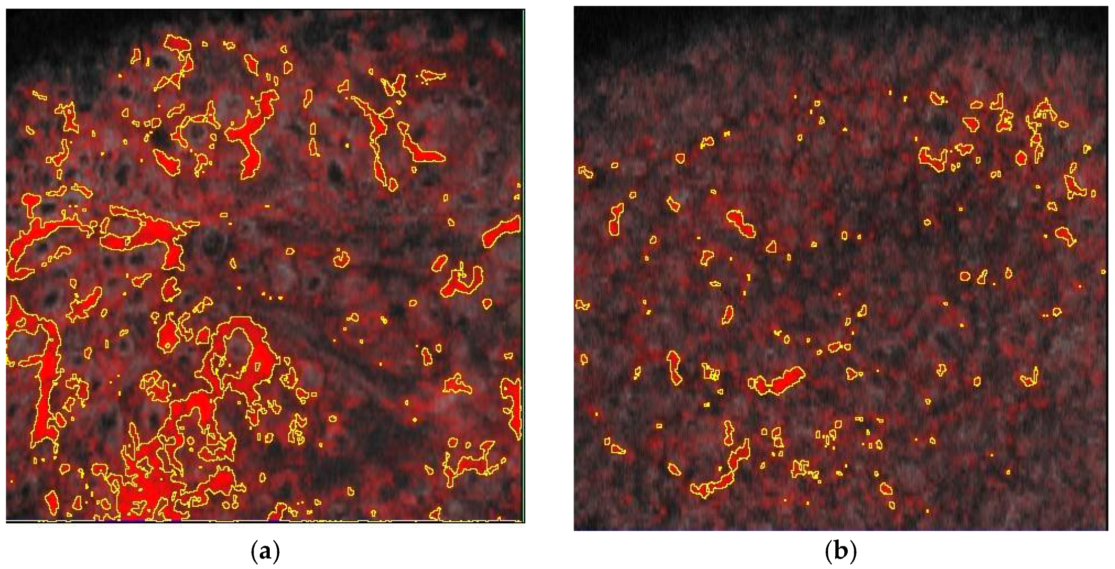 Cosmetics 11 00221 g006