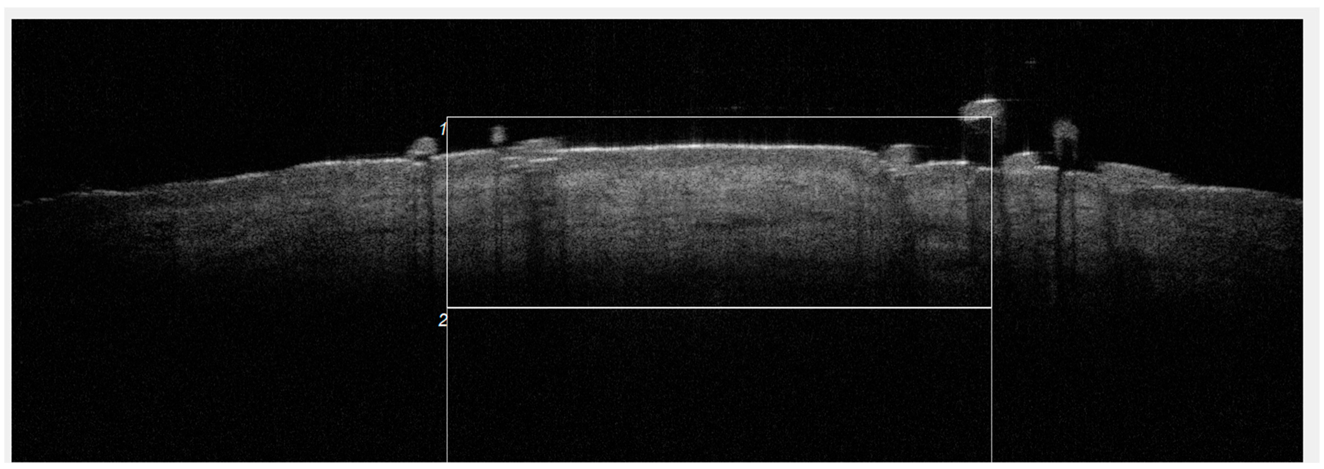 Cosmetics 11 00221 g007