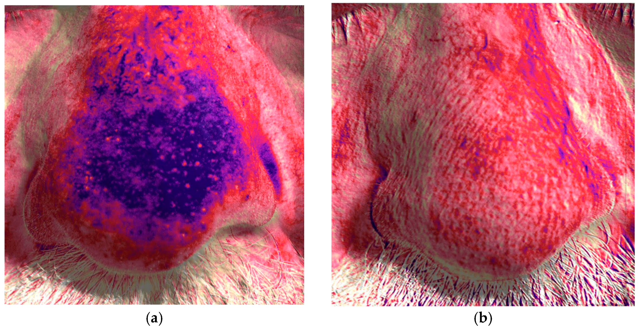 Cosmetics 11 00221 g010