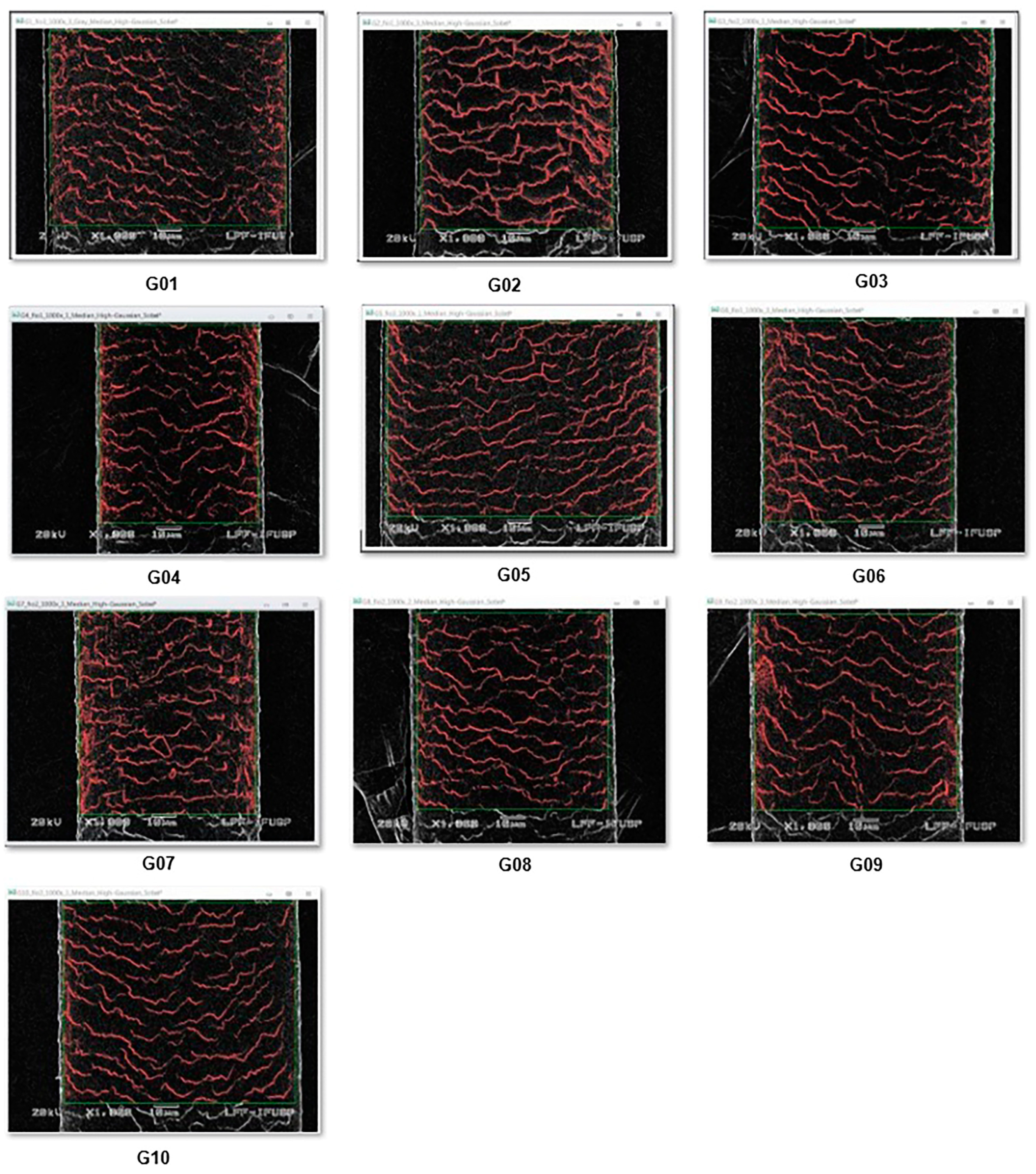 Cosmetics 11 00222 g003