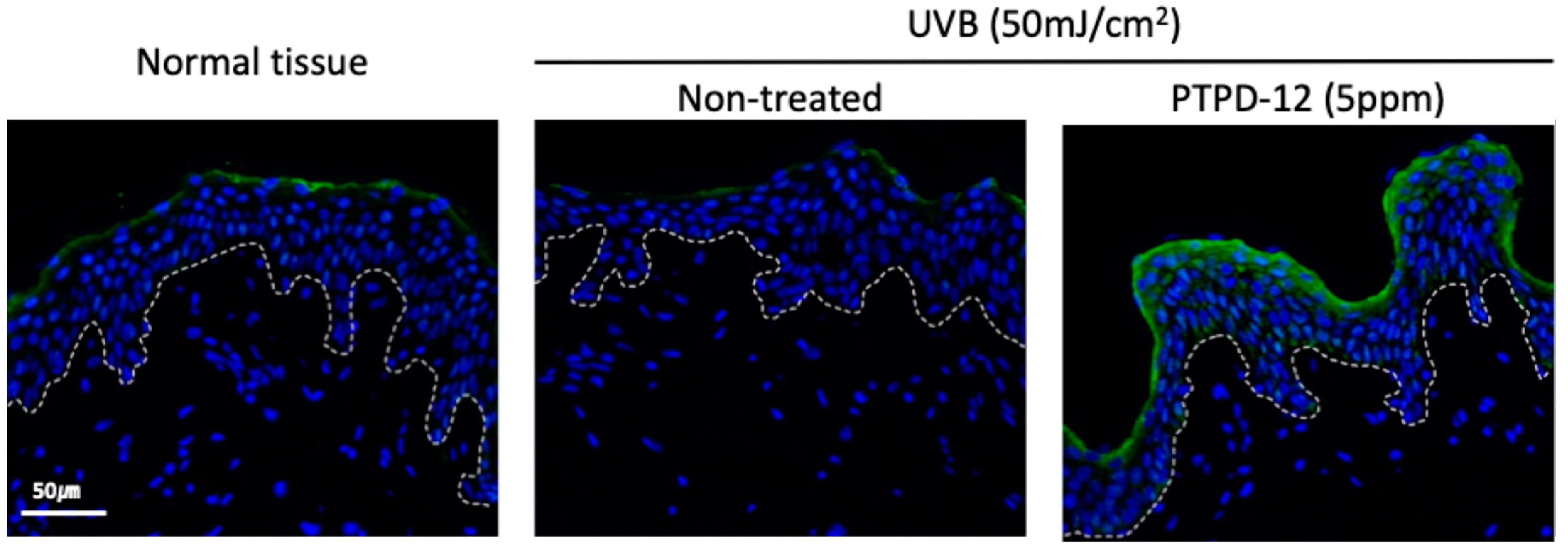 Cosmetics 11 00223 g001