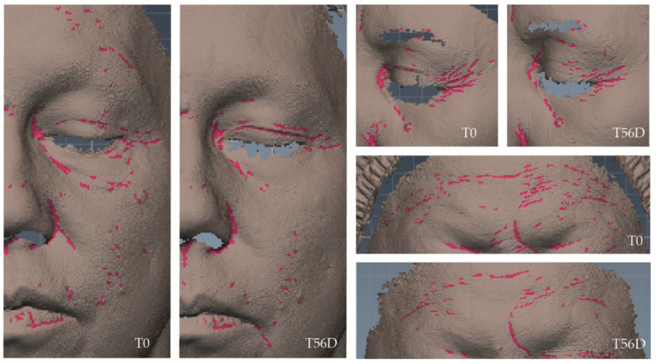 Cosmetics 11 00224 g006