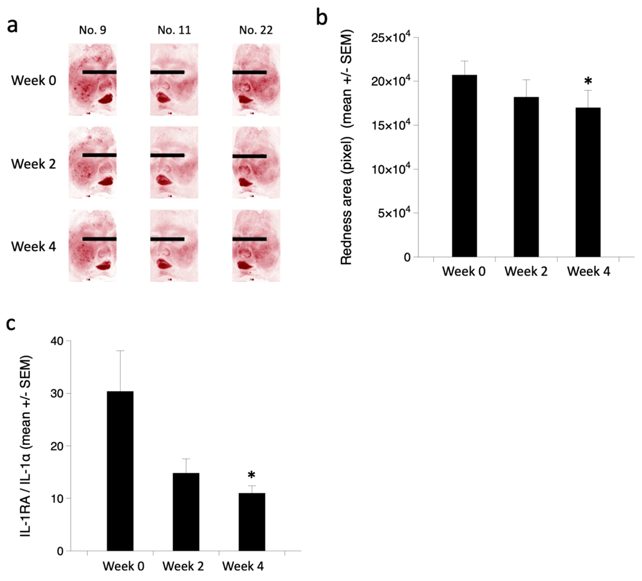 Cosmetics 11 00225 g006