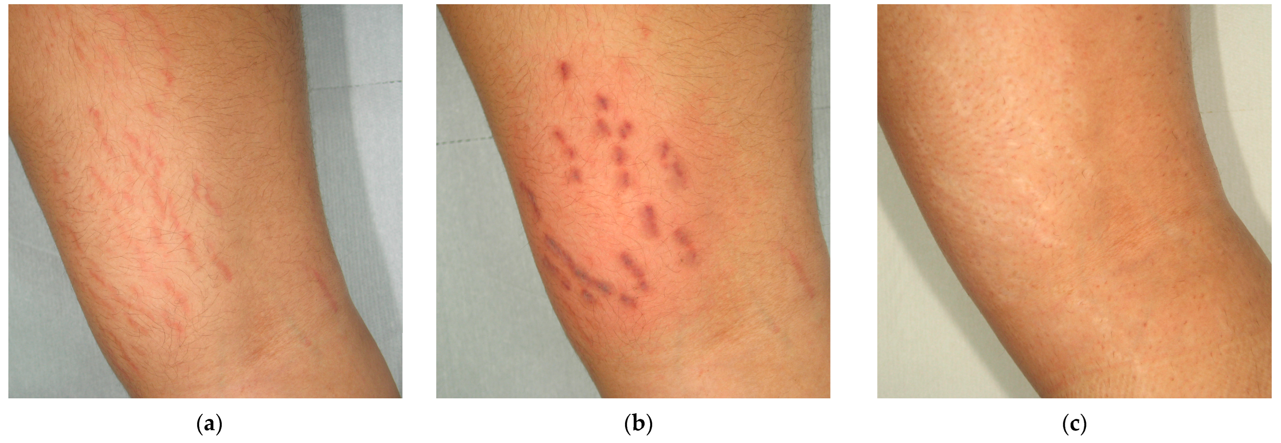 Cosmetics 11 00227 g003