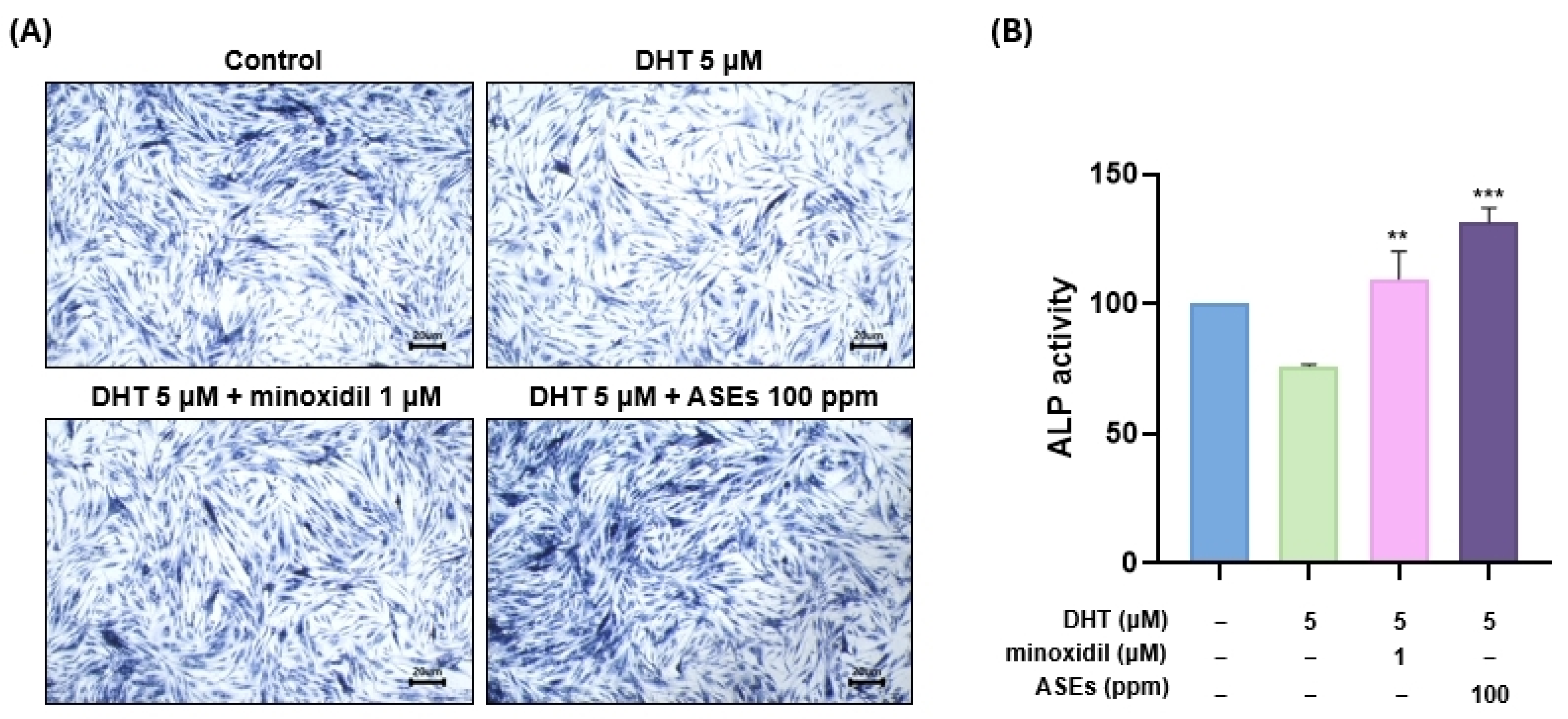 Cosmetics 12 00006 g003