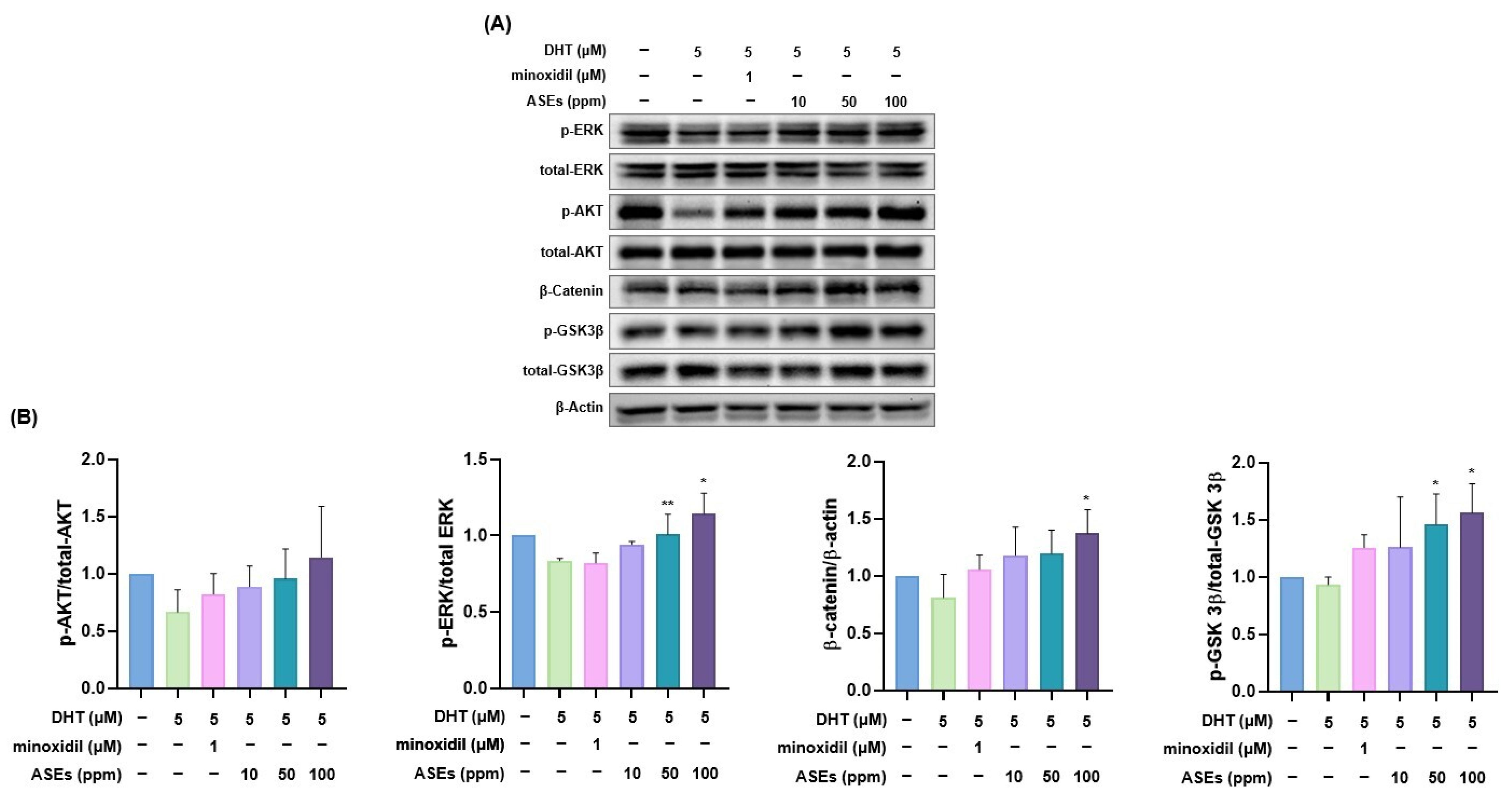Cosmetics 12 00006 g006