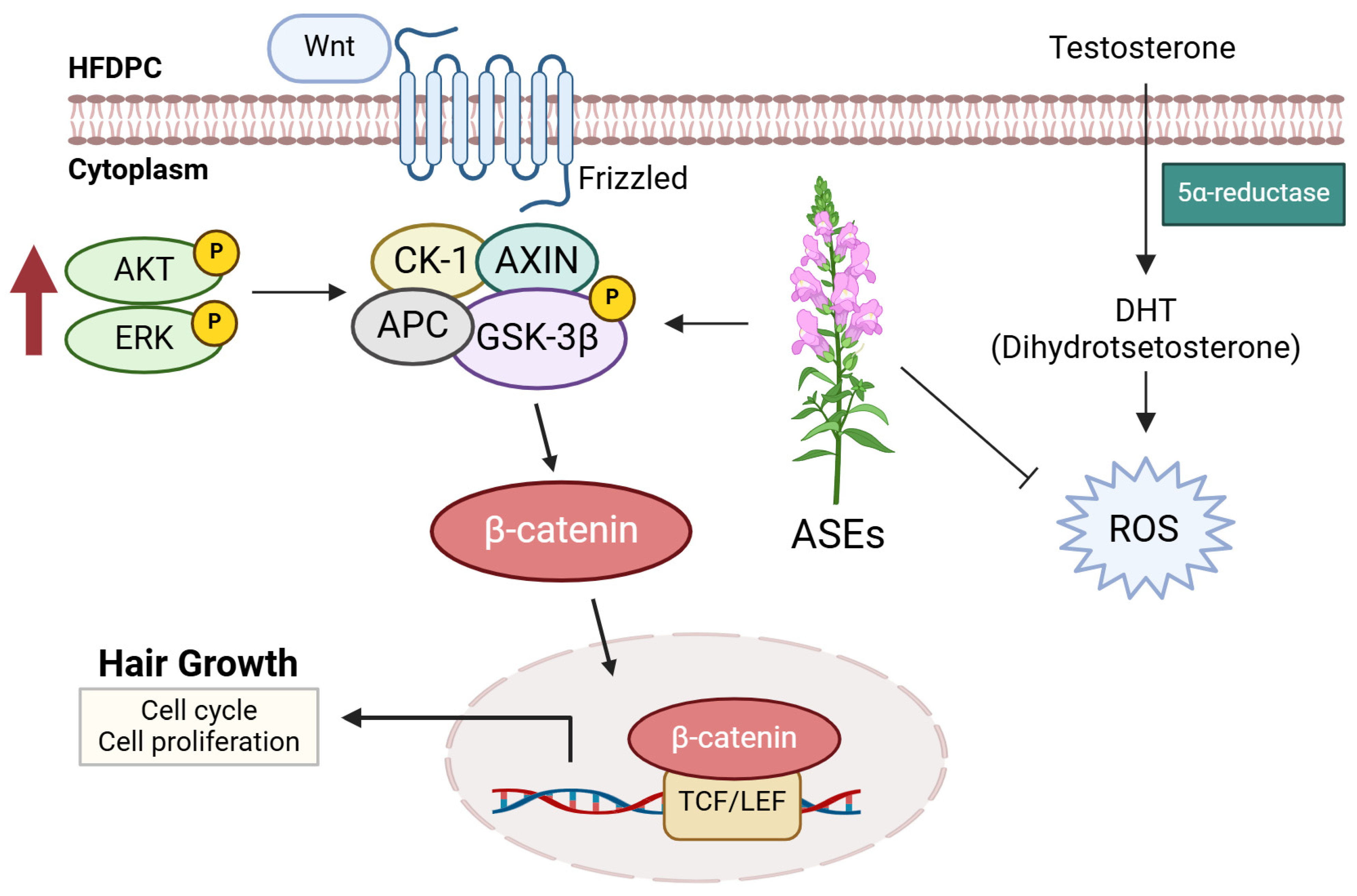Cosmetics 12 00006 g007