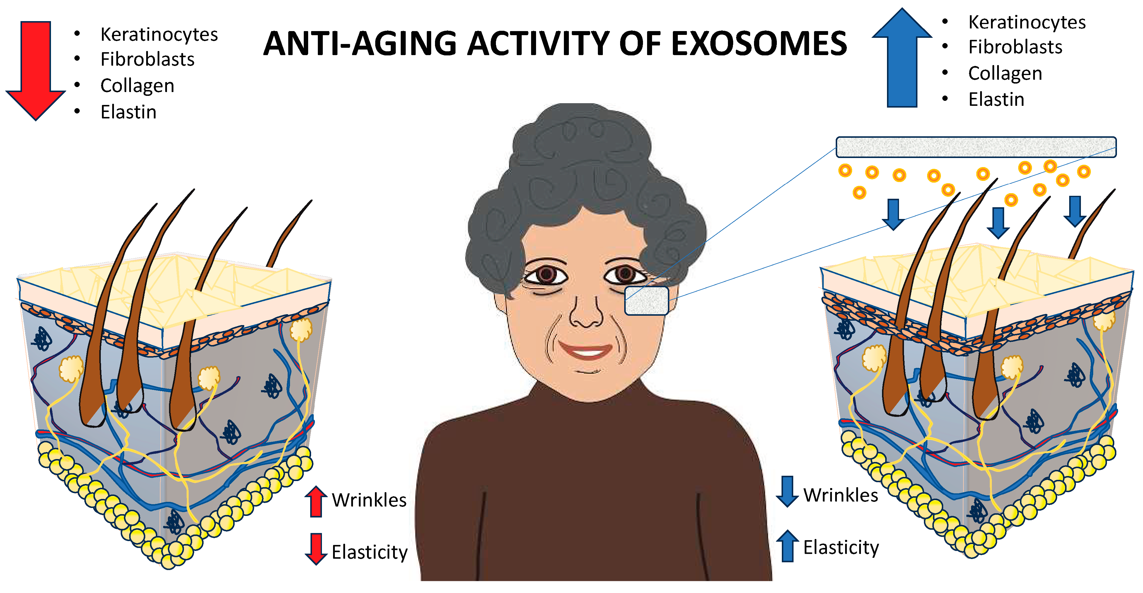 Cosmetics 12 00009 g003