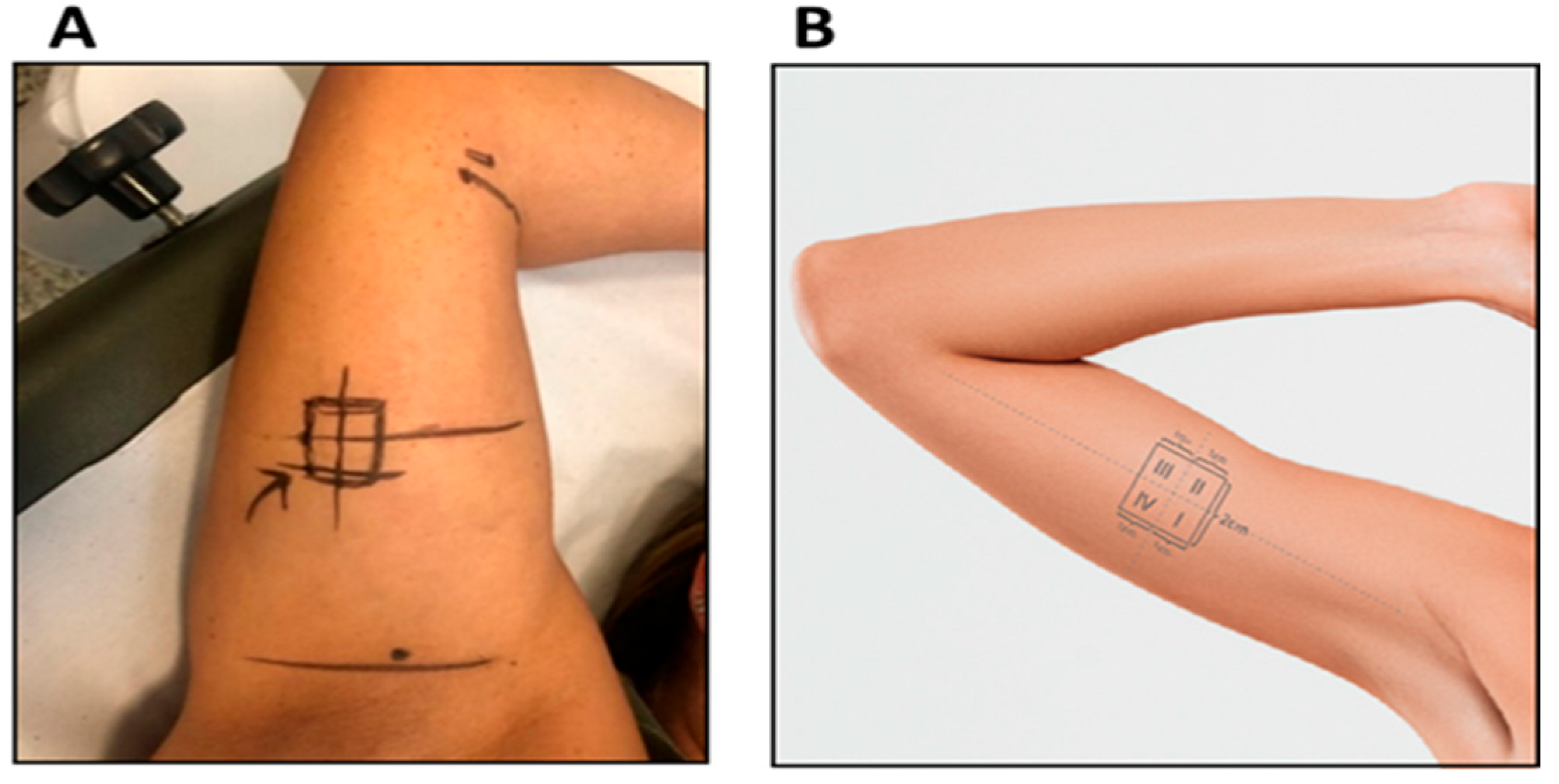 Cosmetics 12 00013 g001