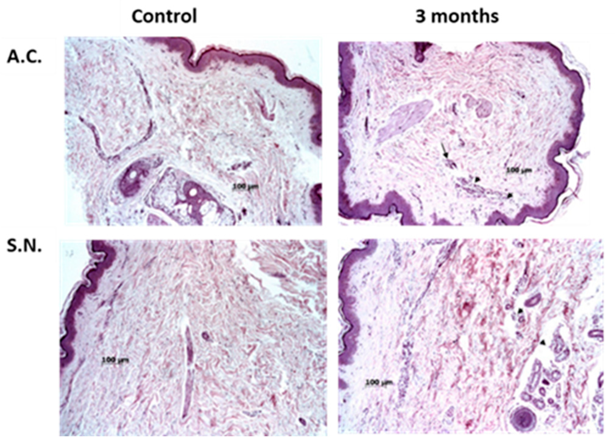Cosmetics 12 00013 g002