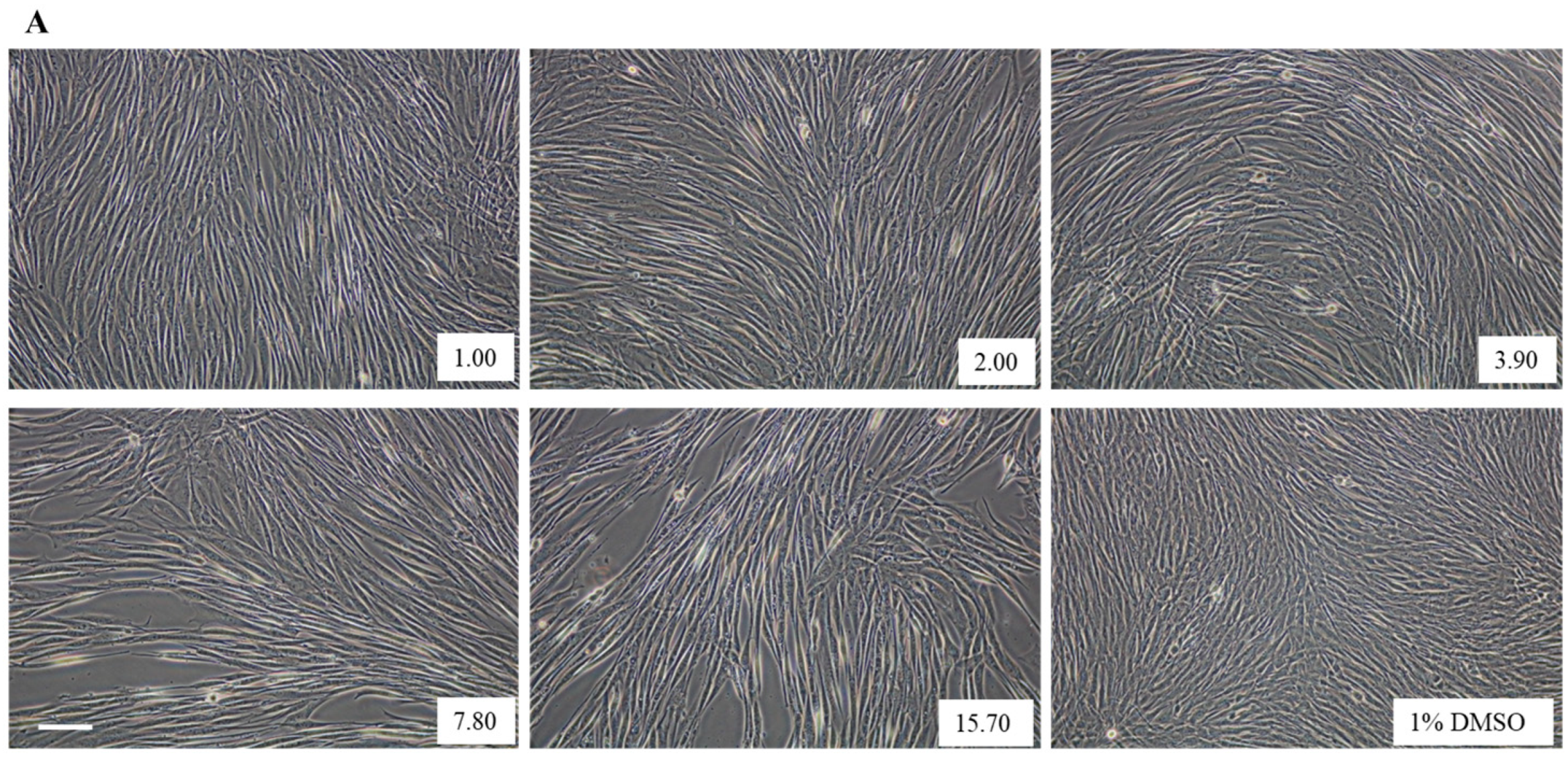 Cosmetics 12 00023 g001a