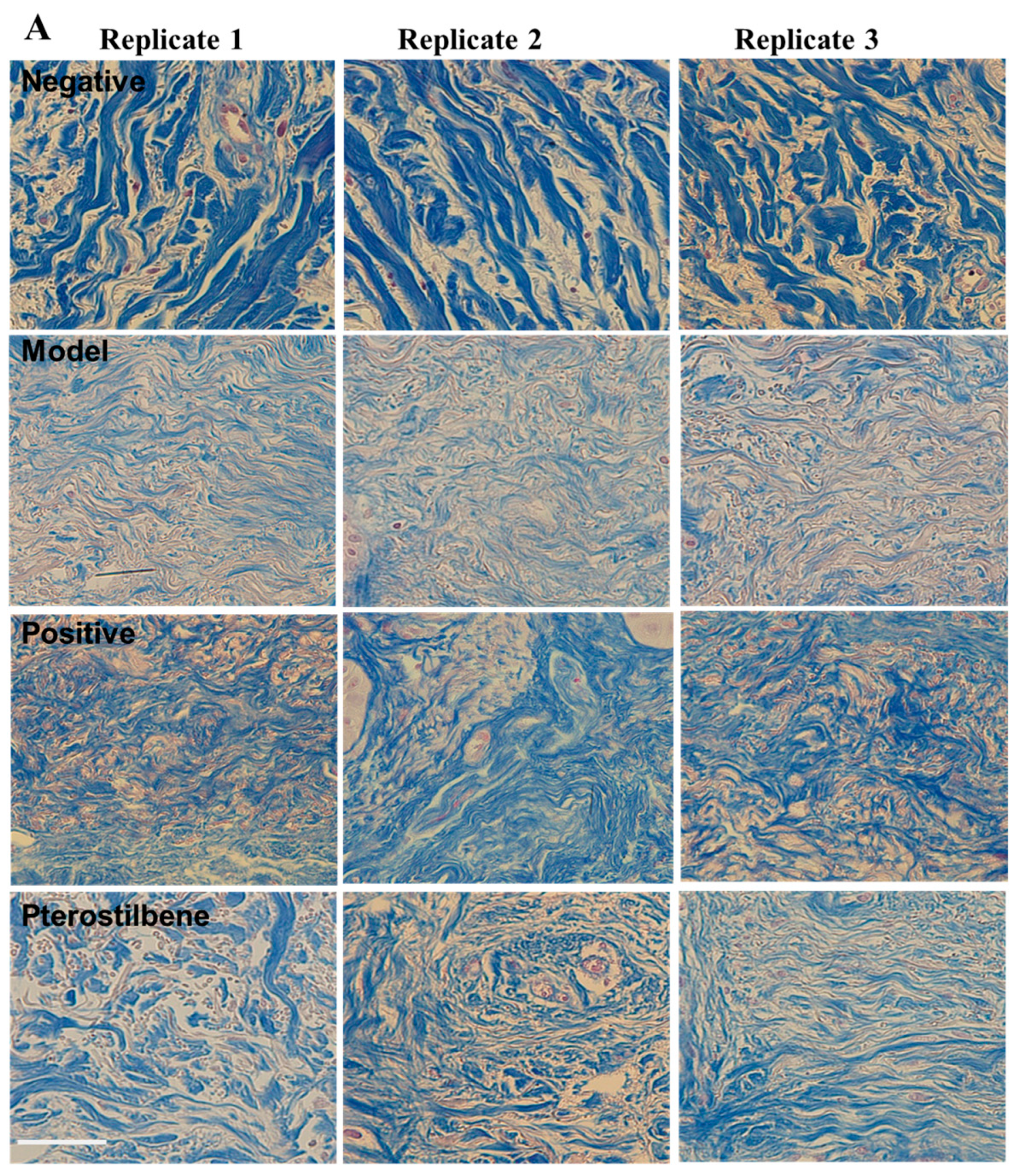 Cosmetics 12 00023 g005a