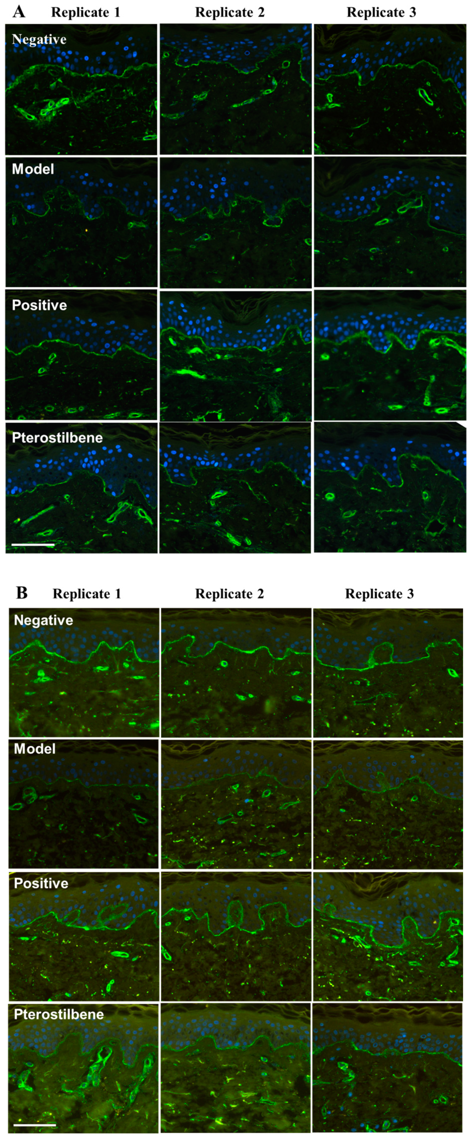 Cosmetics 12 00023 g006a