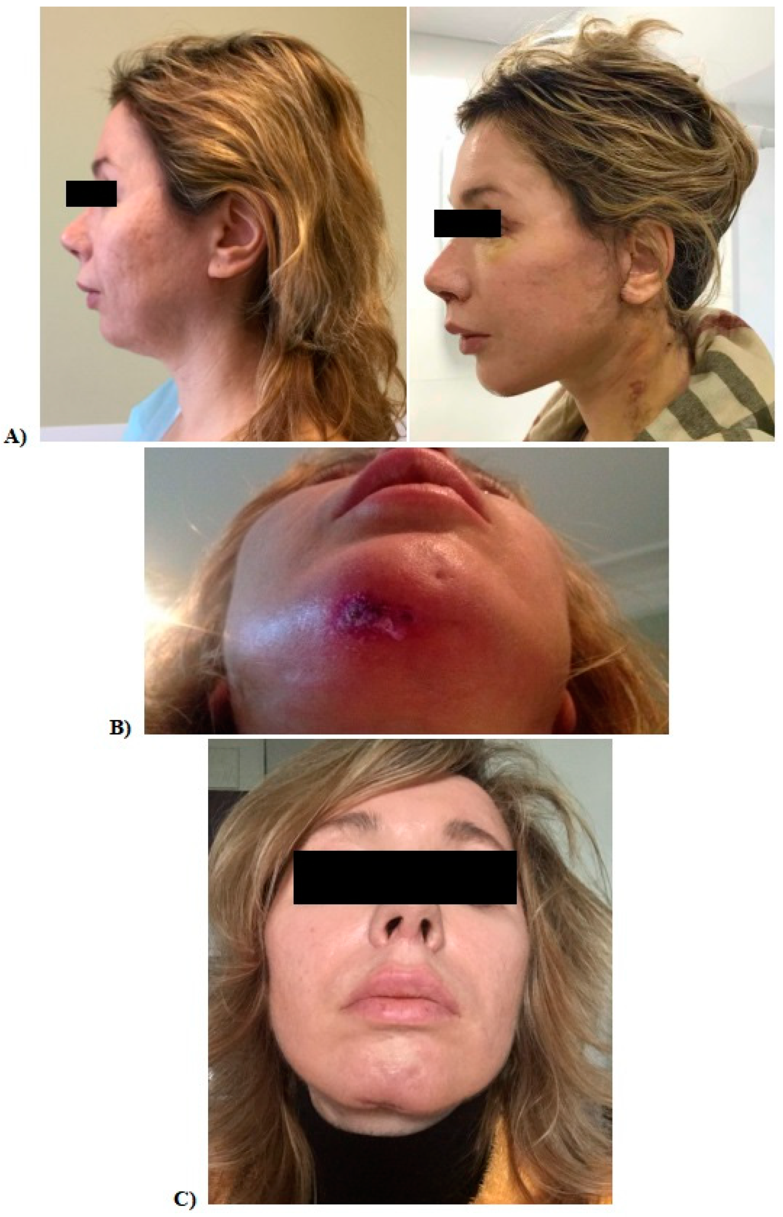 Cosmetics 12 00025 g002