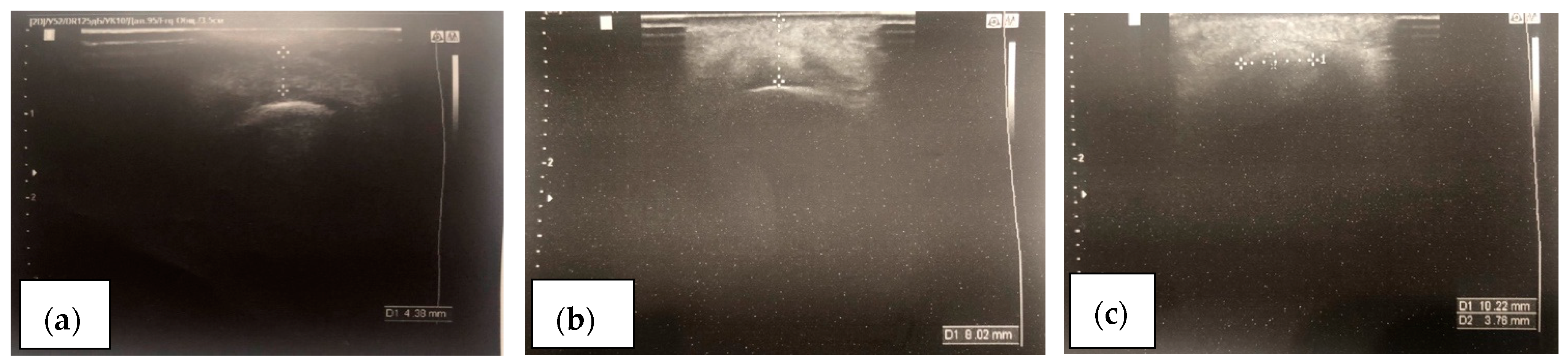 Cosmetics 12 00025 g005