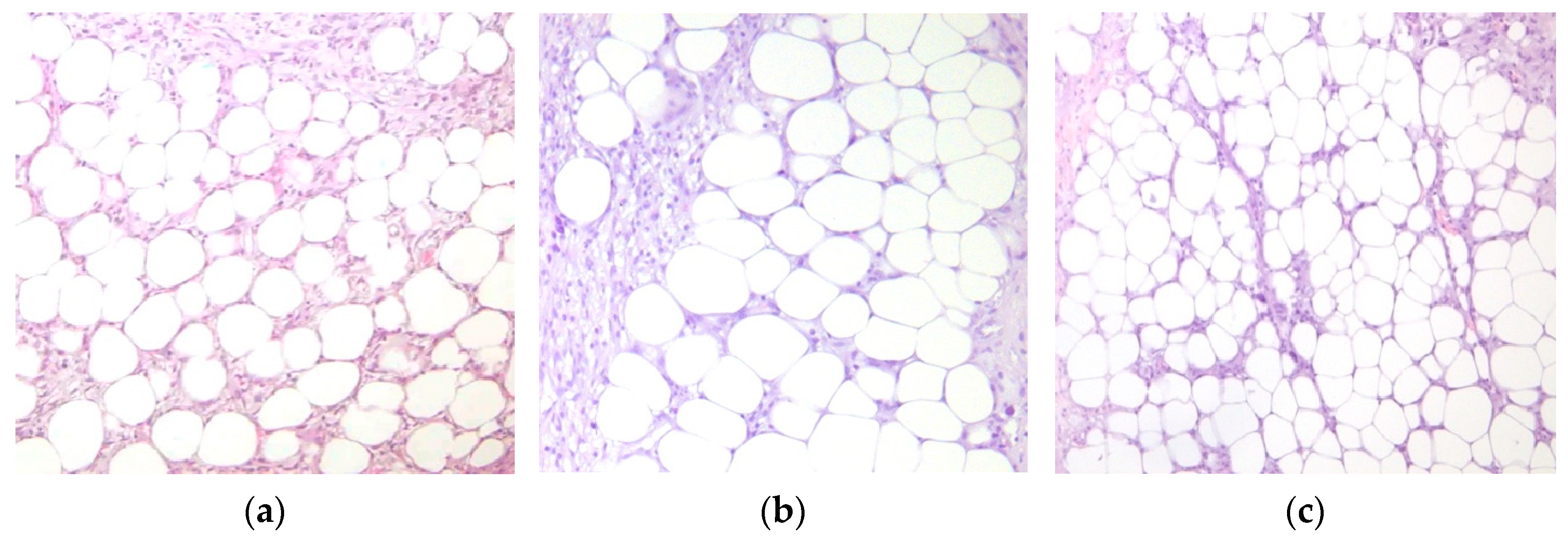 Cosmetics 12 00025 g007