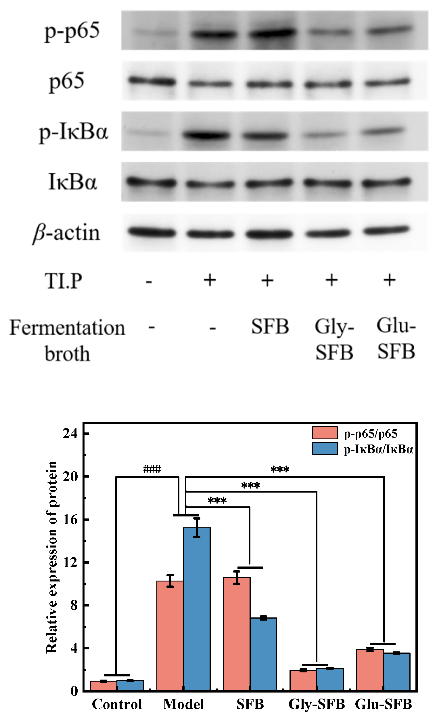 Cosmetics 12 00033 g008
