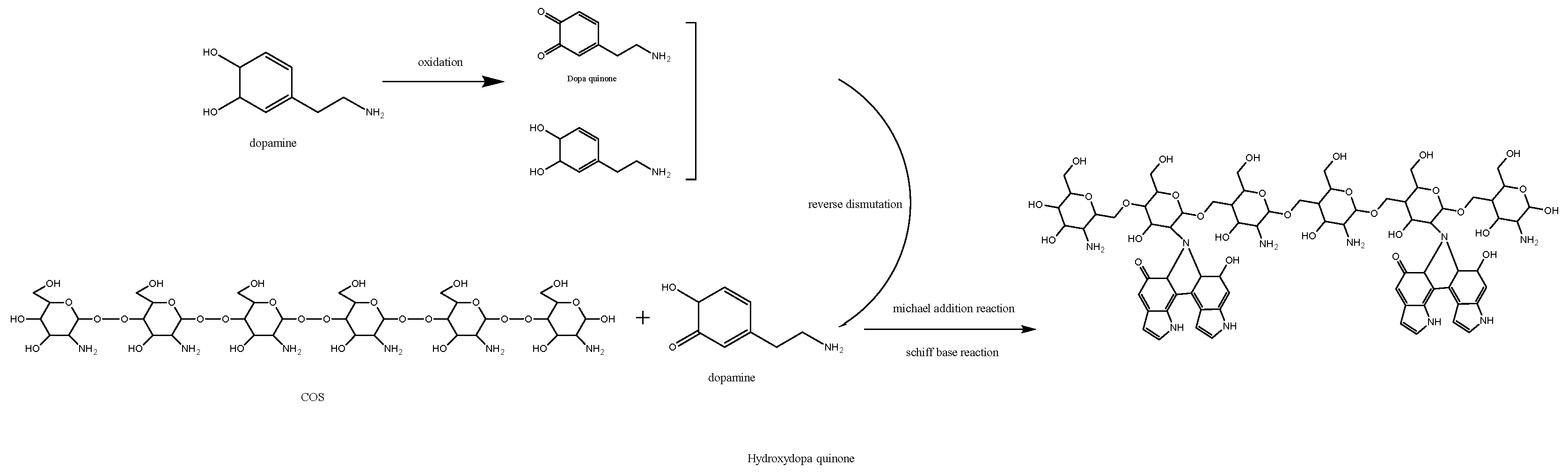 Cosmetics 12 00035 g002