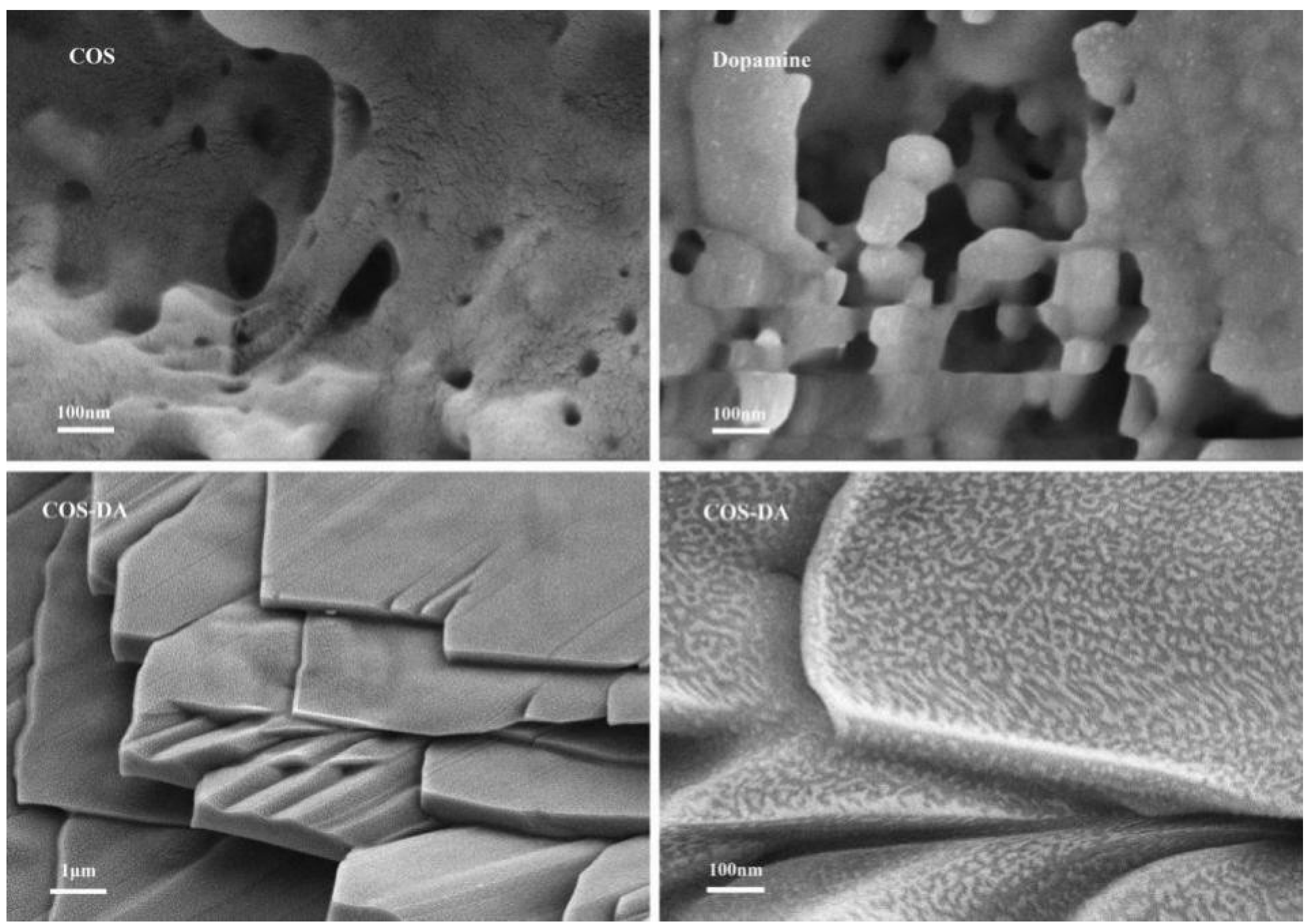 Cosmetics 12 00035 g006