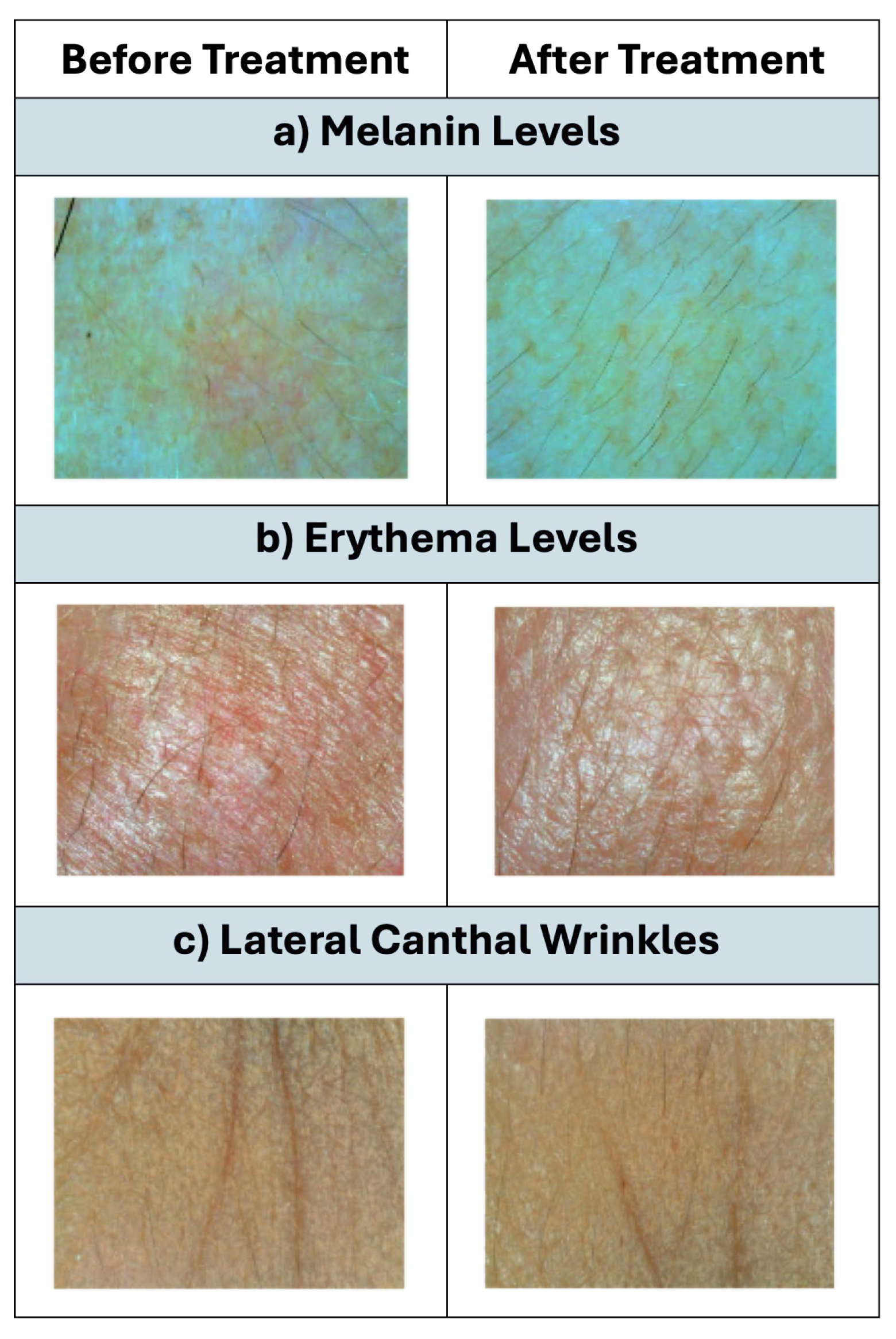 Cosmetics 12 00038 g008