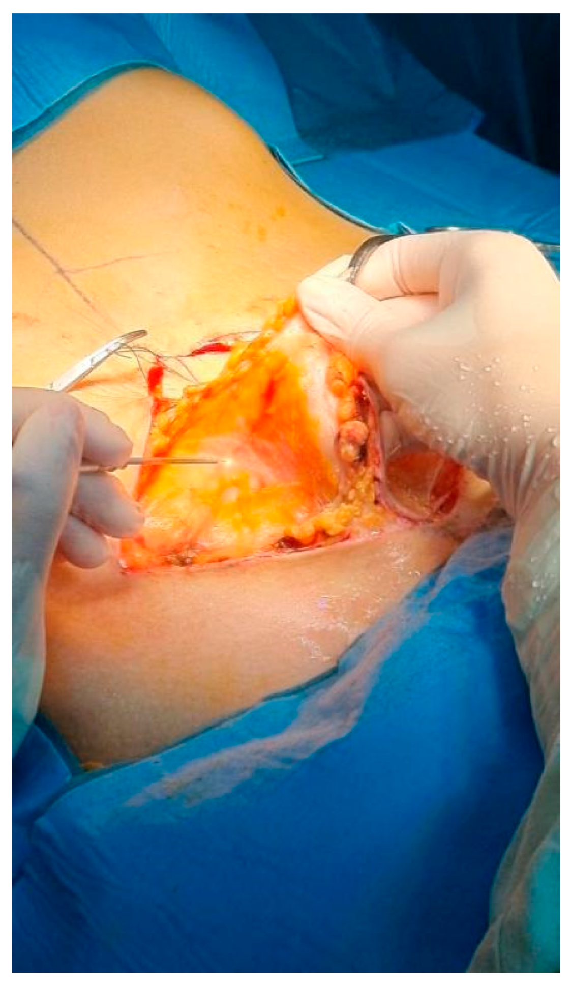 Cosmetics 12 00039 g001