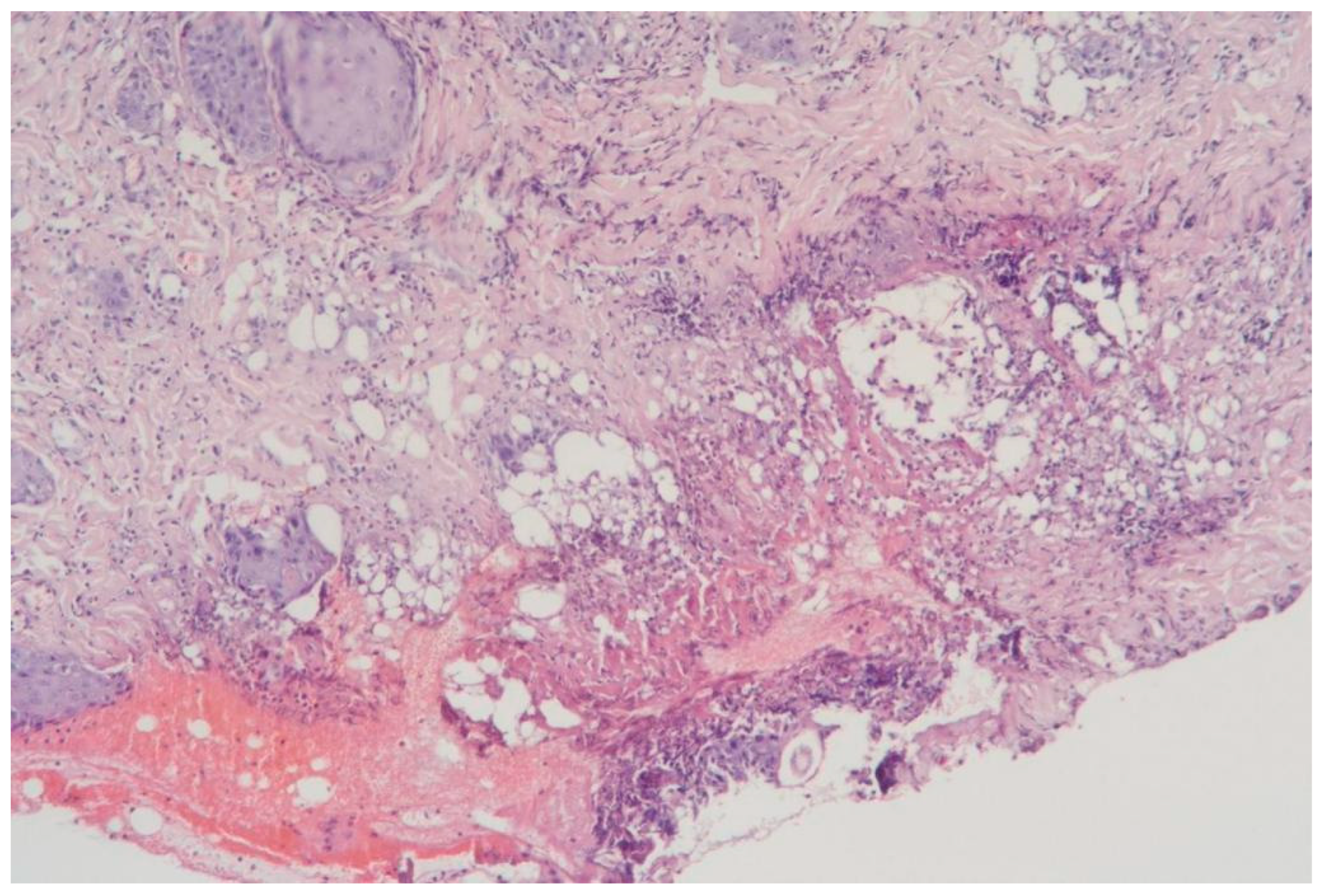 Cosmetics 12 00039 g003