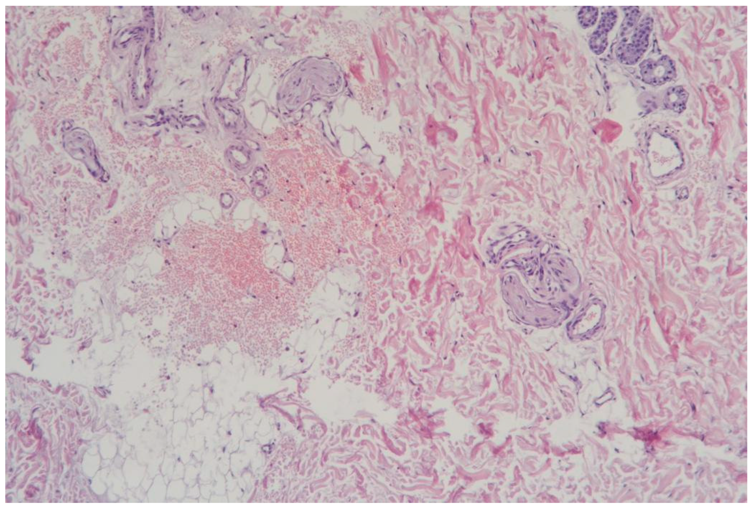 Cosmetics 12 00039 g005