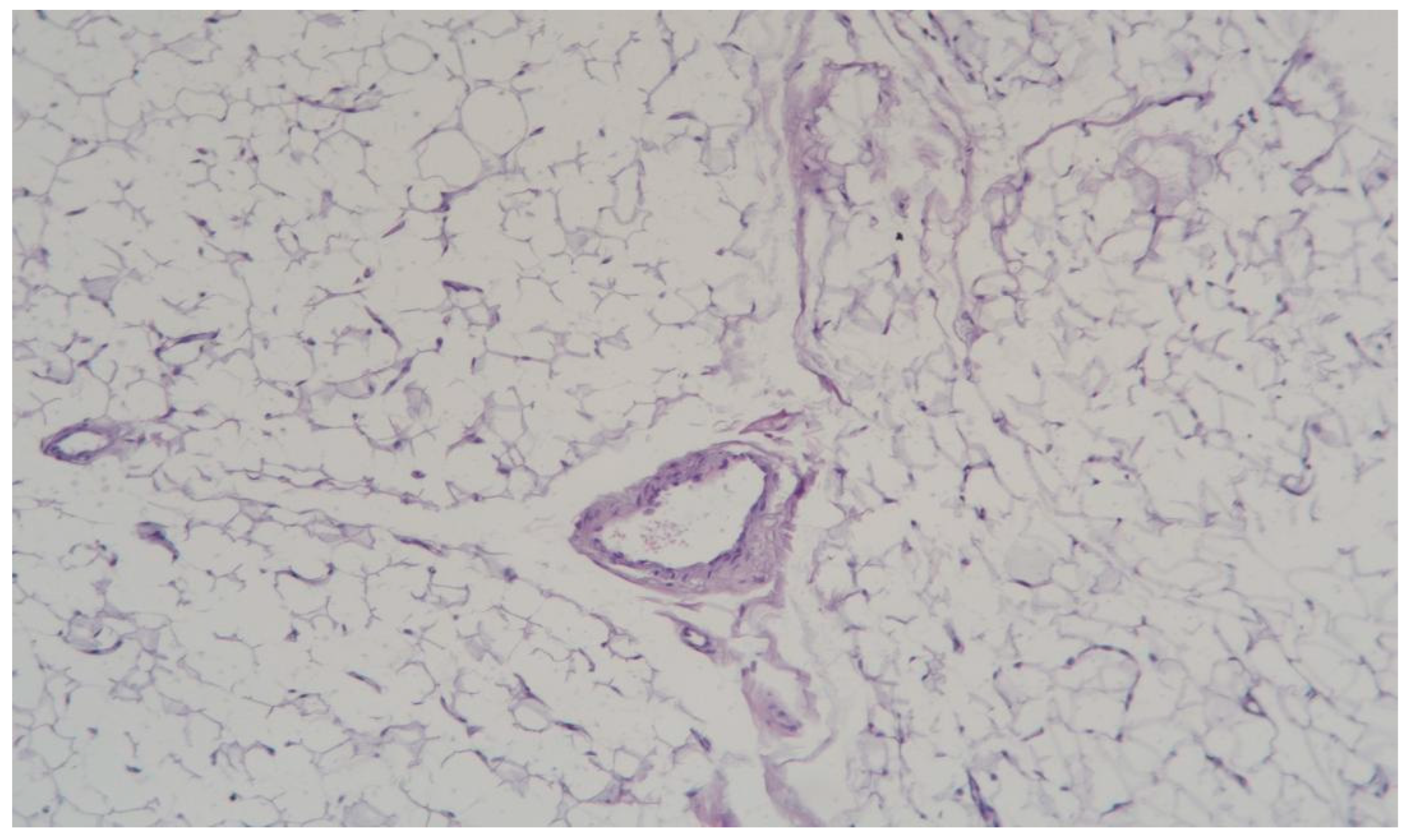 Cosmetics 12 00039 g008