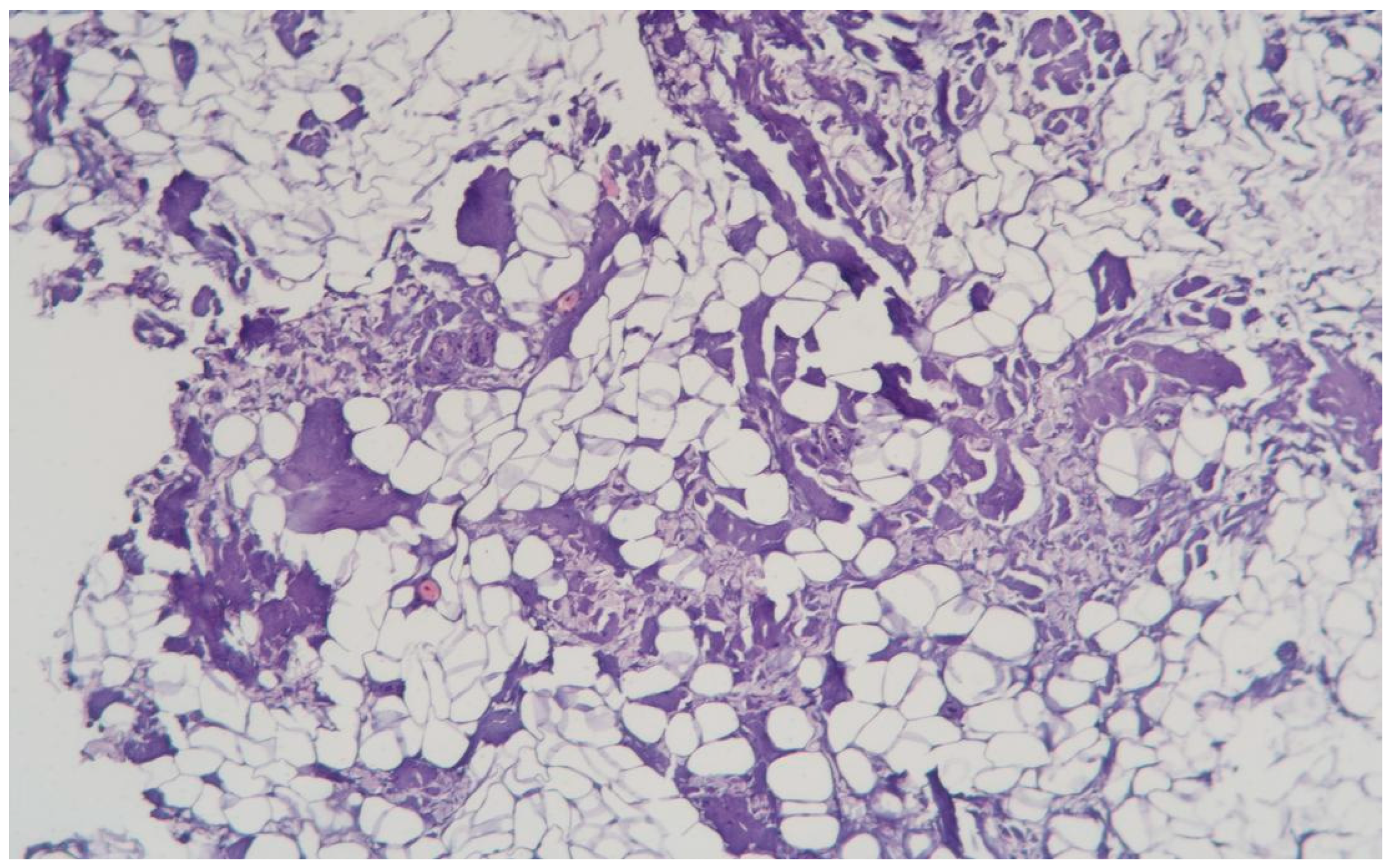 Cosmetics 12 00039 g009