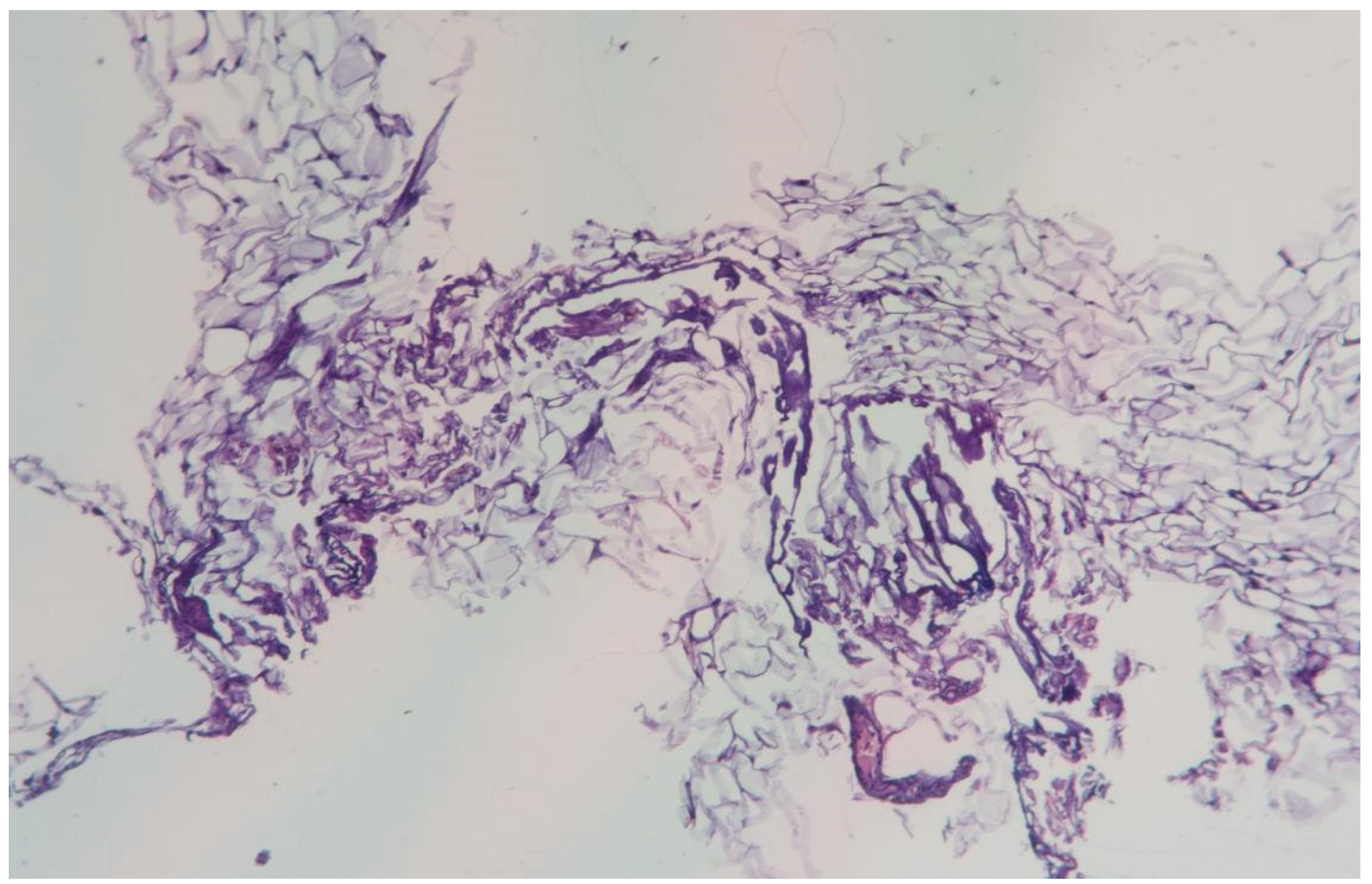 Cosmetics 12 00039 g010