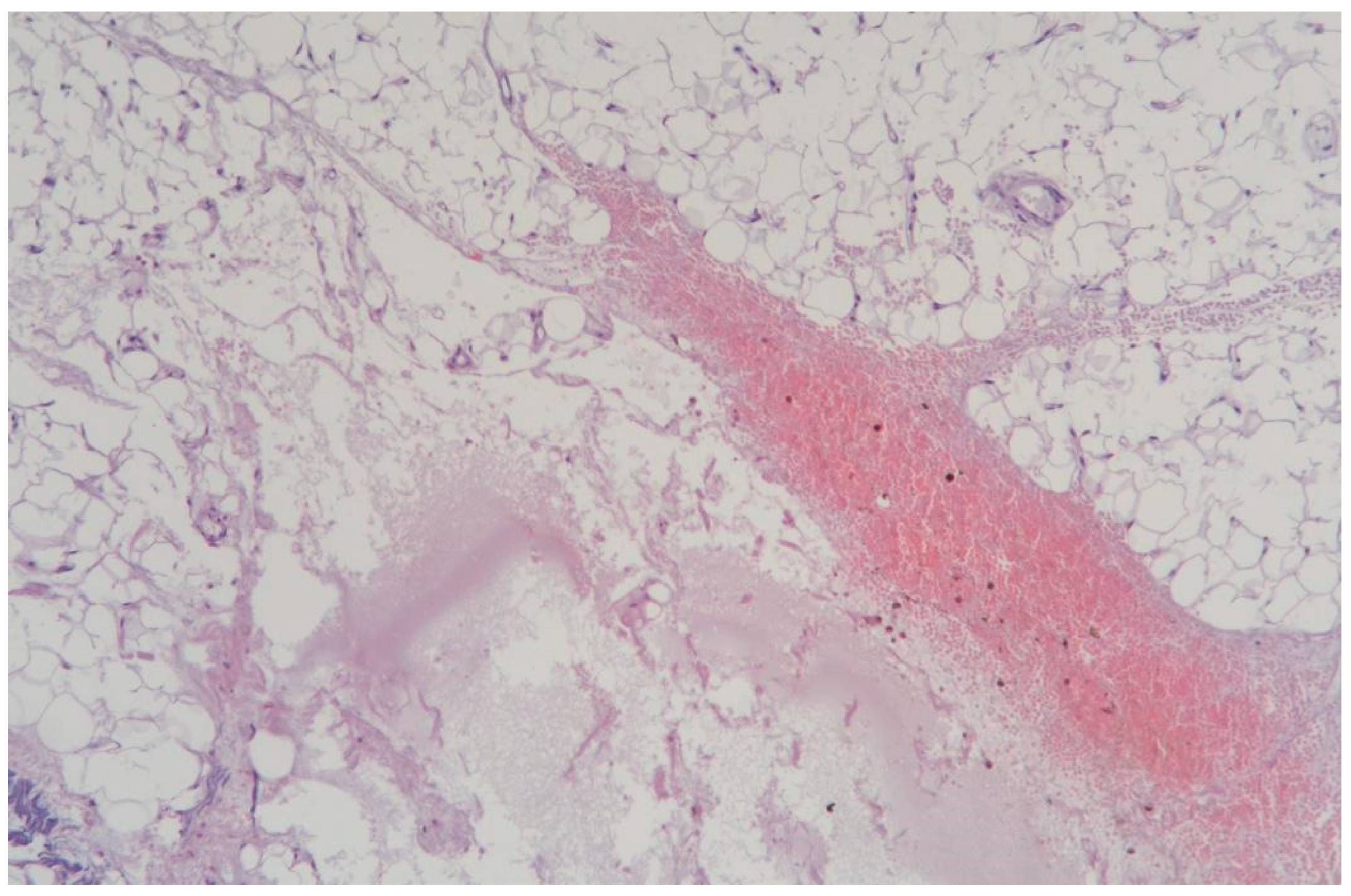 Cosmetics 12 00039 g011